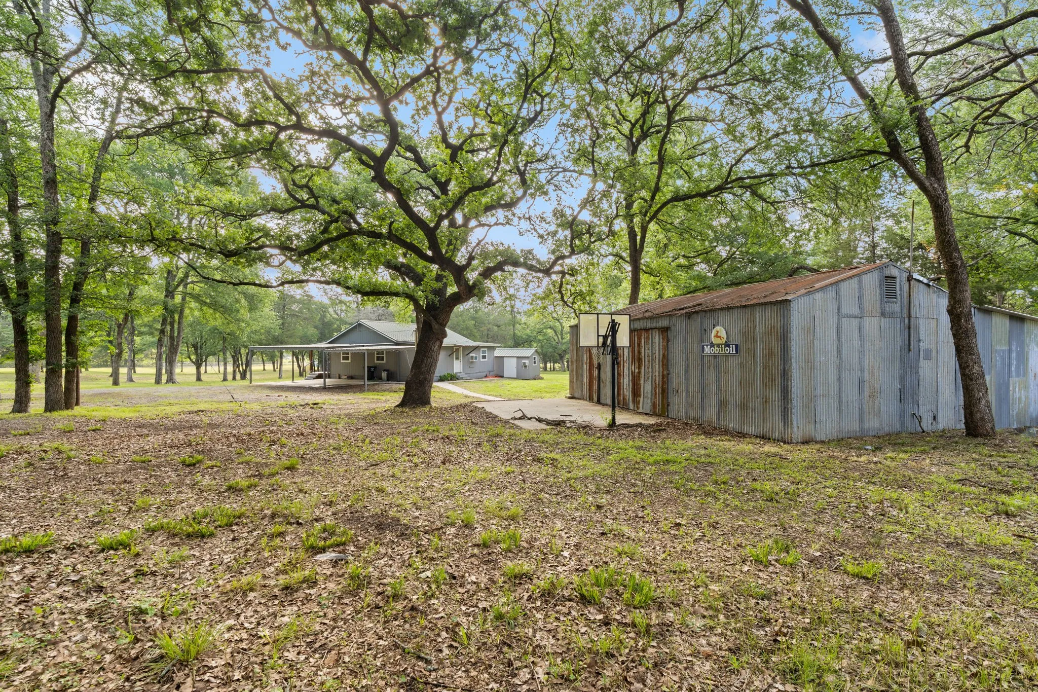 Spacious grounds featuring a corrugated metal outbuilding with a concrete pad, mature trees, and a gravel path leading to the main residence