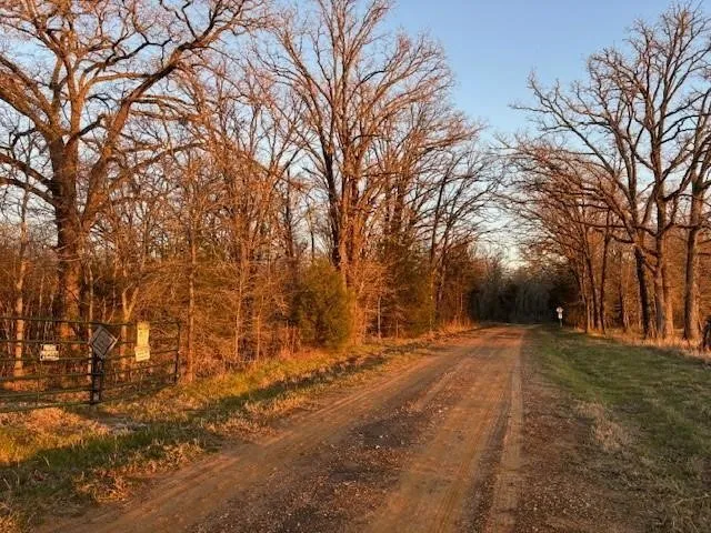 Unimproved Land For Sale in Anderson County , 00 N US Hwy 287, Cayuga, Texas 75148, 0, 0, Garage spaces, 0 Sqft, built in 0, Price $230,000, mls#21267794, Real Estate Agent in Cayuga, Homes For Sale in Anderson county, Homes For Sale in Cayuga, Realtor in Cayuga Texas, Real Estate Brokerage Independent Realty Texas, Luminita Cordes Realtor
