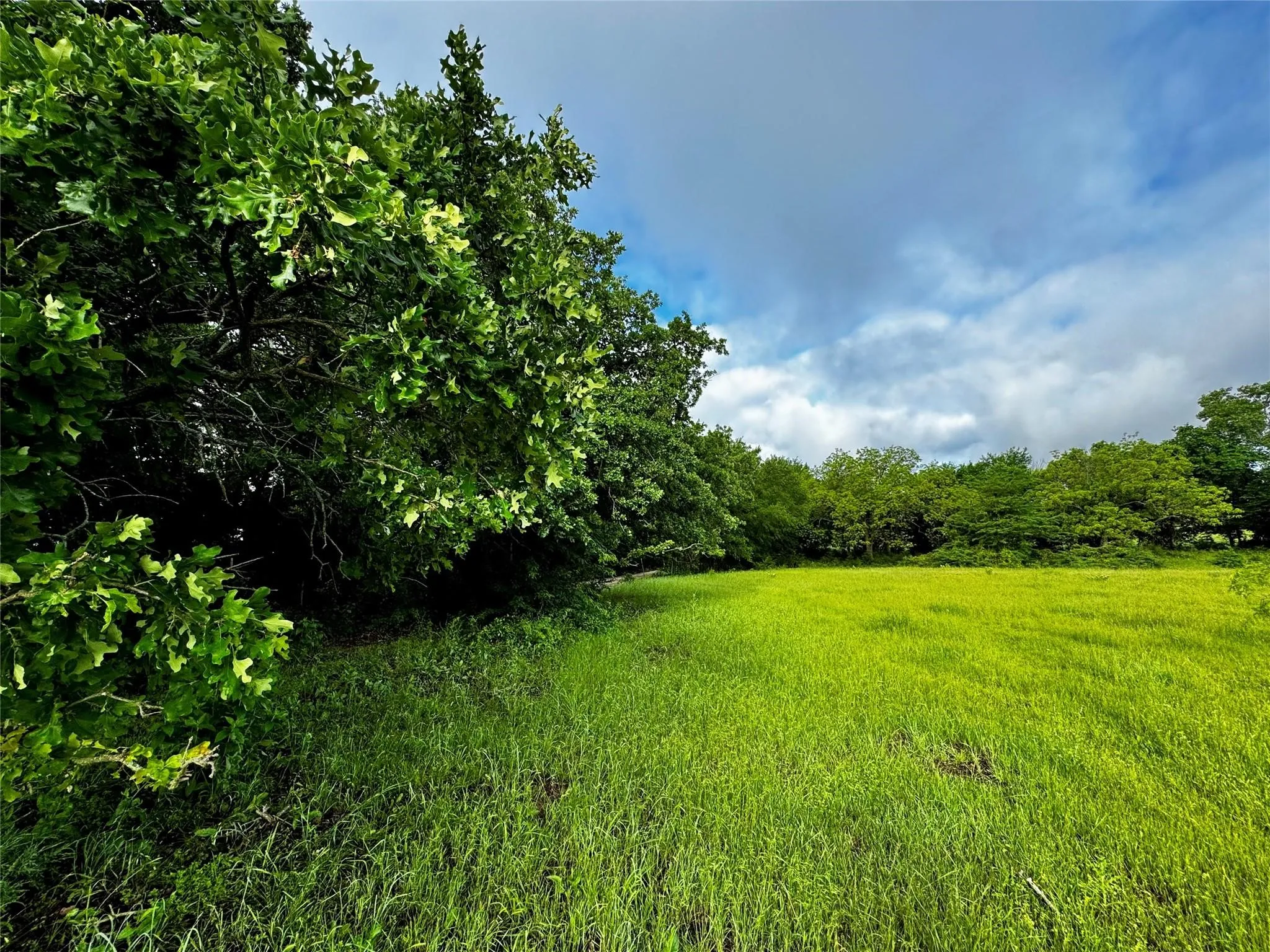 Improved Land For Sale in Wise County , 16 ACRES FM 1655 CR-1460, Chico, Texas 76431, 0, 0, Garage spaces, 0 Sqft, built in 0, Price $350,000, mls#21267866, Real Estate Agent in Chico, Homes For Sale in Wise county, Homes For Sale in Chico, Realtor in Chico Texas, Real Estate Brokerage Independent Realty Texas, Luminita Cordes Realtor