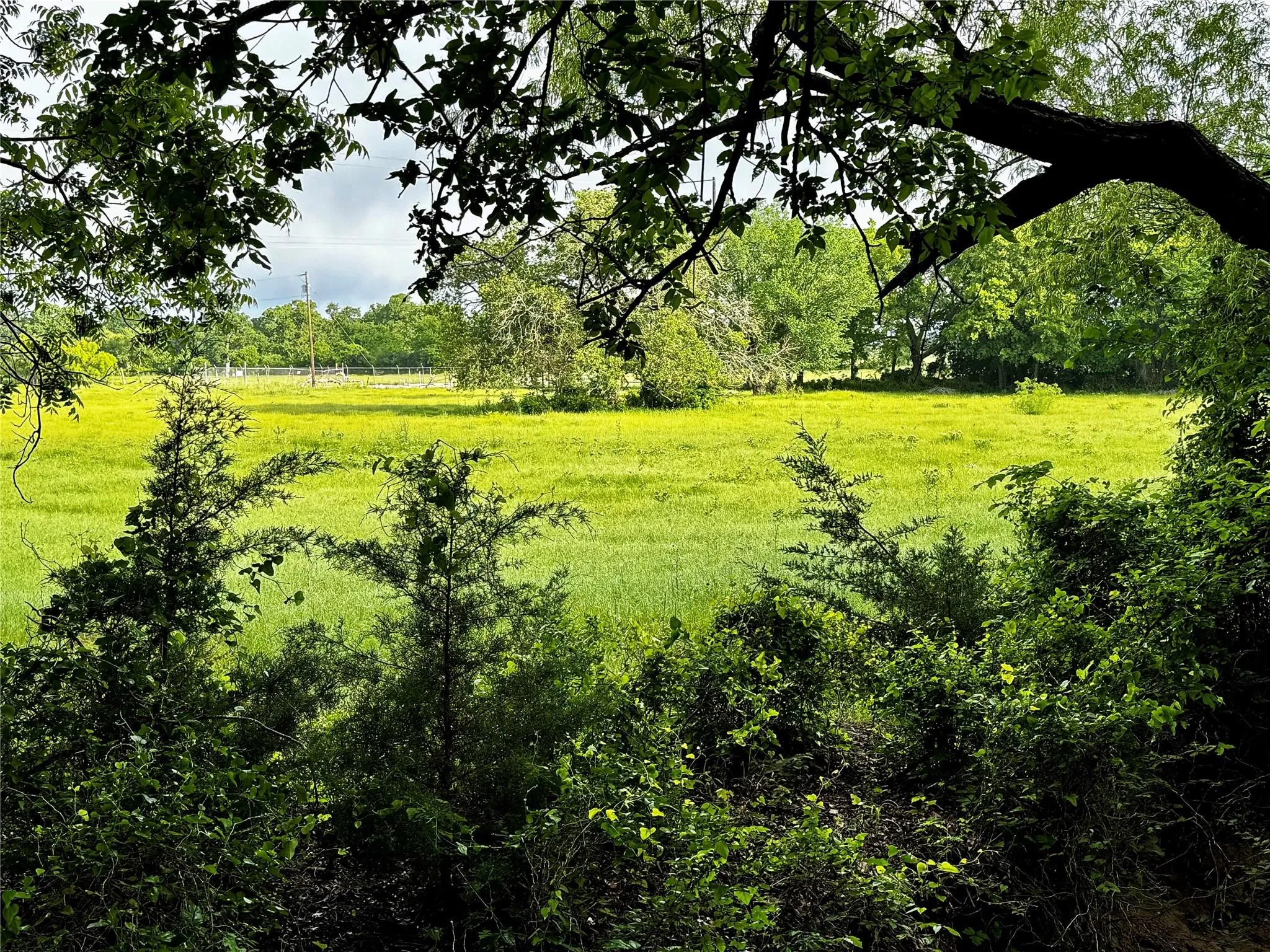 Improved Land For Sale in Wise County , 16 ACRES FM 1655 CR-1460, Chico, Texas 76431, 0, 0, Garage spaces, 0 Sqft, built in 0, Price $350,000, mls#21267866, Real Estate Agent in Chico, Homes For Sale in Wise county, Homes For Sale in Chico, Realtor in Chico Texas, Real Estate Brokerage Independent Realty Texas, Luminita Cordes Realtor
