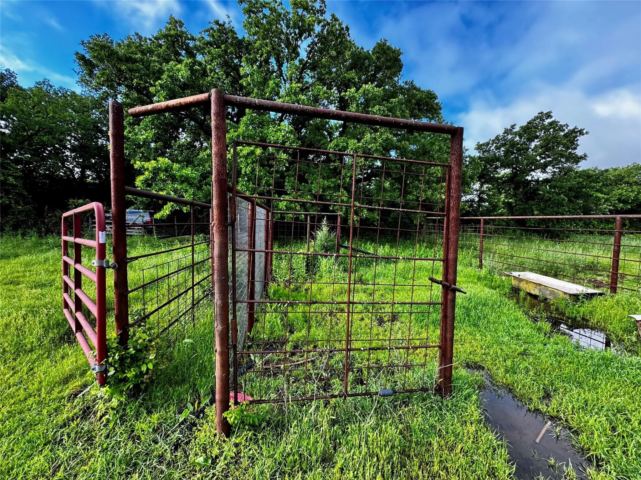 Improved Land For Sale in Wise County , 16 ACRES FM 1655 CR-1460, Chico, Texas 76431, 0, 0, Garage spaces, 0 Sqft, built in 0, Price $350,000, mls#21267866, Real Estate Agent in Chico, Homes For Sale in Wise county, Homes For Sale in Chico, Realtor in Chico Texas, Real Estate Brokerage Independent Realty Texas, Luminita Cordes Realtor