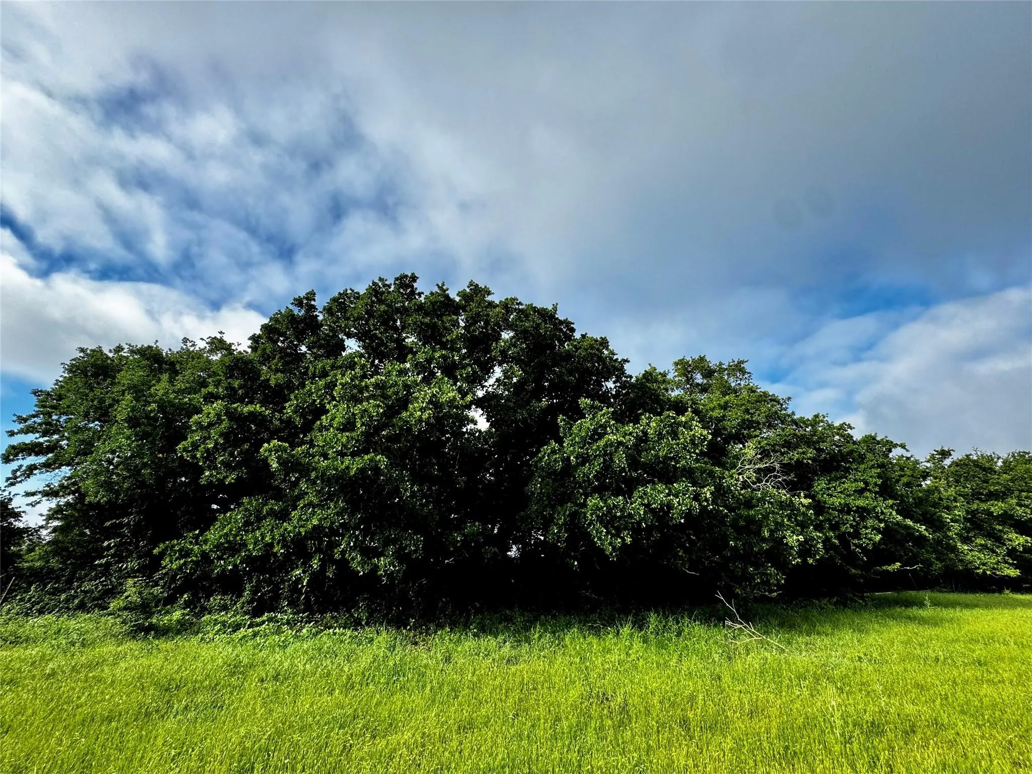 Improved Land For Sale in Wise County , 16 ACRES FM 1655 CR-1460, Chico, Texas 76431, 0, 0, Garage spaces, 0 Sqft, built in 0, Price $350,000, mls#21267866, Real Estate Agent in Chico, Homes For Sale in Wise county, Homes For Sale in Chico, Realtor in Chico Texas, Real Estate Brokerage Independent Realty Texas, Luminita Cordes Realtor