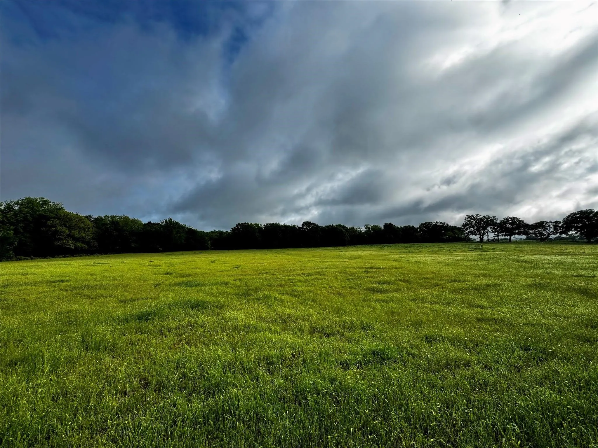 Improved Land For Sale in Wise County , 16 ACRES FM 1655 CR-1460, Chico, Texas 76431, 0, 0, Garage spaces, 0 Sqft, built in 0, Price $350,000, mls#21267866, Real Estate Agent in Chico, Homes For Sale in Wise county, Homes For Sale in Chico, Realtor in Chico Texas, Real Estate Brokerage Independent Realty Texas, Luminita Cordes Realtor