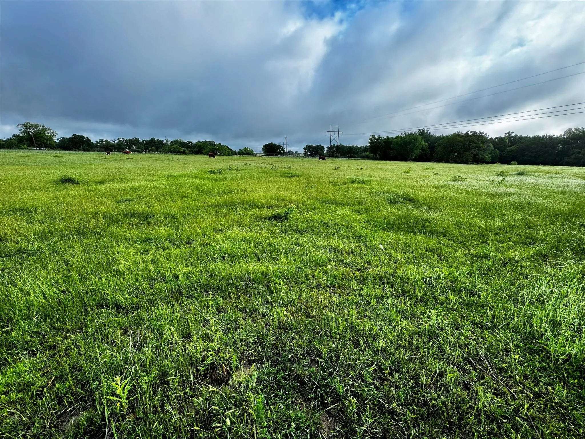 Improved Land For Sale in Wise County , 16 ACRES FM 1655 CR-1460, Chico, Texas 76431, 0, 0, Garage spaces, 0 Sqft, built in 0, Price $350,000, mls#21267866, Real Estate Agent in Chico, Homes For Sale in Wise county, Homes For Sale in Chico, Realtor in Chico Texas, Real Estate Brokerage Independent Realty Texas, Luminita Cordes Realtor