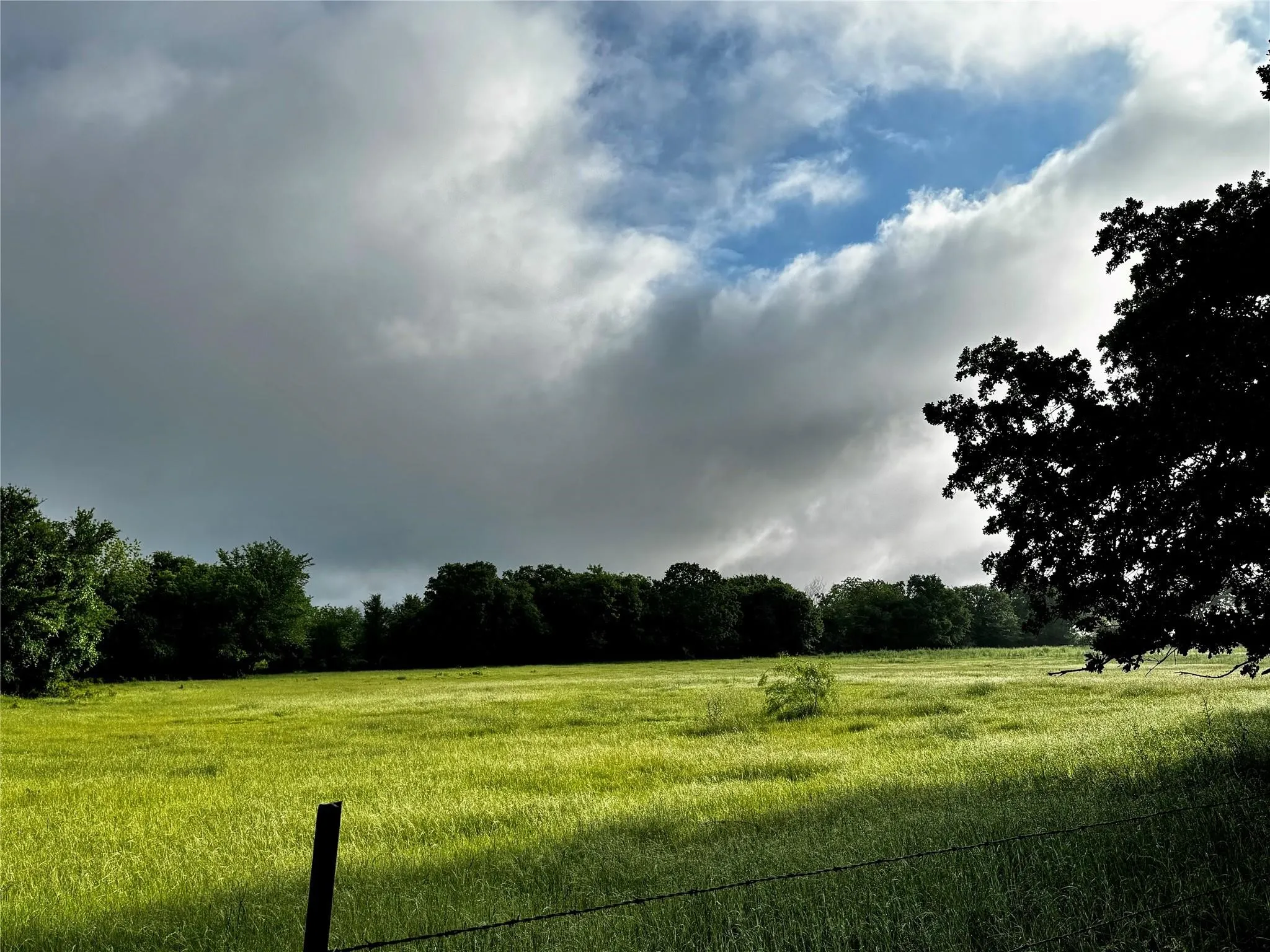 Improved Land For Sale in Wise County , 16 ACRES FM 1655 CR-1460, Chico, Texas 76431, 0, 0, Garage spaces, 0 Sqft, built in 0, Price $350,000, mls#21267866, Real Estate Agent in Chico, Homes For Sale in Wise county, Homes For Sale in Chico, Realtor in Chico Texas, Real Estate Brokerage Independent Realty Texas, Luminita Cordes Realtor