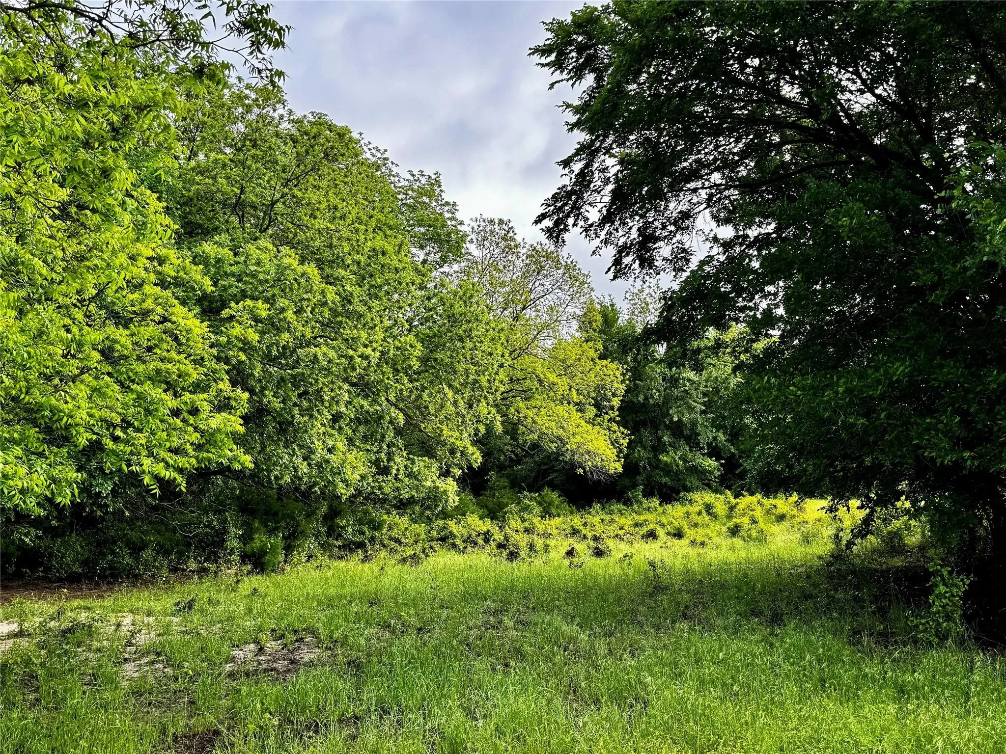 Improved Land For Sale in Wise County , 16 ACRES FM 1655 CR-1460, Chico, Texas 76431, 0, 0, Garage spaces, 0 Sqft, built in 0, Price $350,000, mls#21267866, Real Estate Agent in Chico, Homes For Sale in Wise county, Homes For Sale in Chico, Realtor in Chico Texas, Real Estate Brokerage Independent Realty Texas, Luminita Cordes Realtor