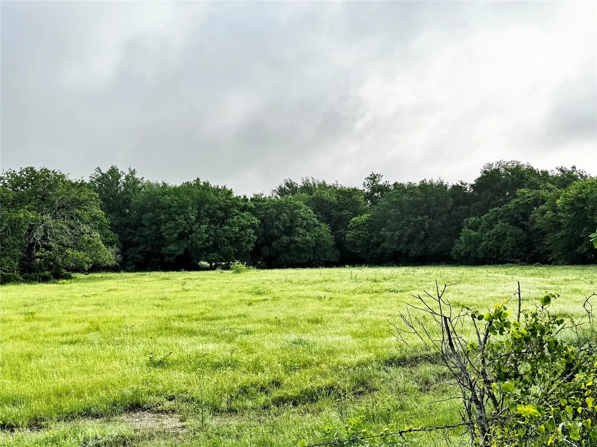 Improved Land For Sale in Wise County , 16 ACRES FM 1655 CR-1460, Chico, Texas 76431, 0, 0, Garage spaces, 0 Sqft, built in 0, Price $350,000, mls#21267866, Real Estate Agent in Chico, Homes For Sale in Wise county, Homes For Sale in Chico, Realtor in Chico Texas, Real Estate Brokerage Independent Realty Texas, Luminita Cordes Realtor