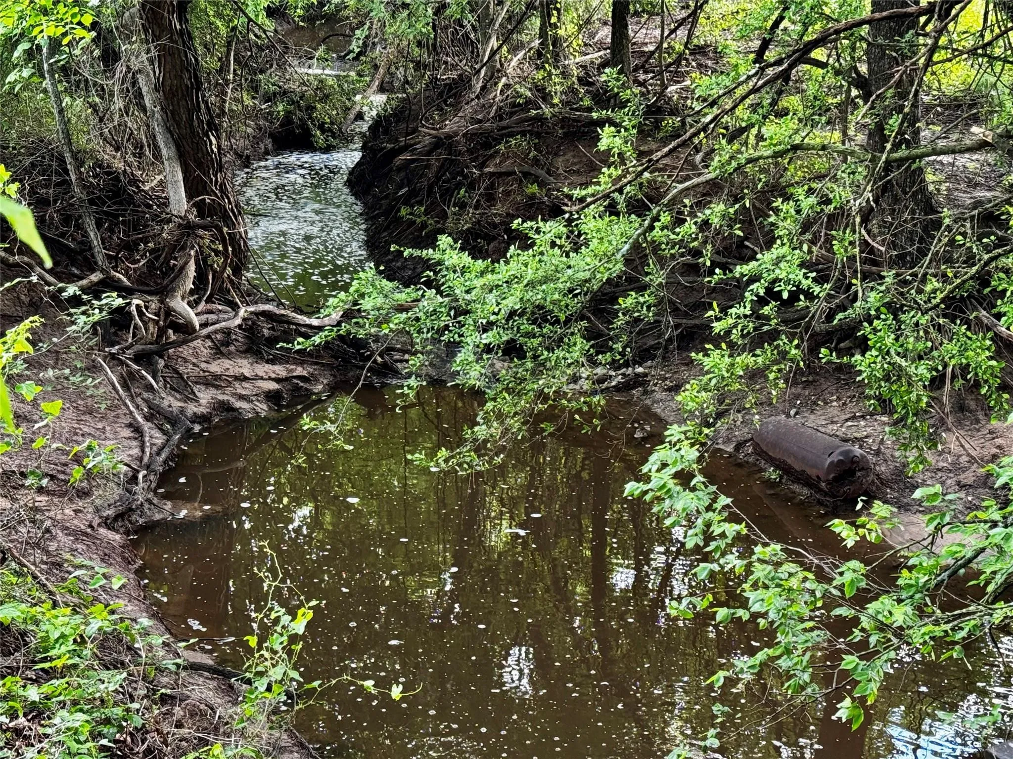 Improved Land For Sale in Wise County , 16 ACRES FM 1655 CR-1460, Chico, Texas 76431, 0, 0, Garage spaces, 0 Sqft, built in 0, Price $350,000, mls#21267866, Real Estate Agent in Chico, Homes For Sale in Wise county, Homes For Sale in Chico, Realtor in Chico Texas, Real Estate Brokerage Independent Realty Texas, Luminita Cordes Realtor