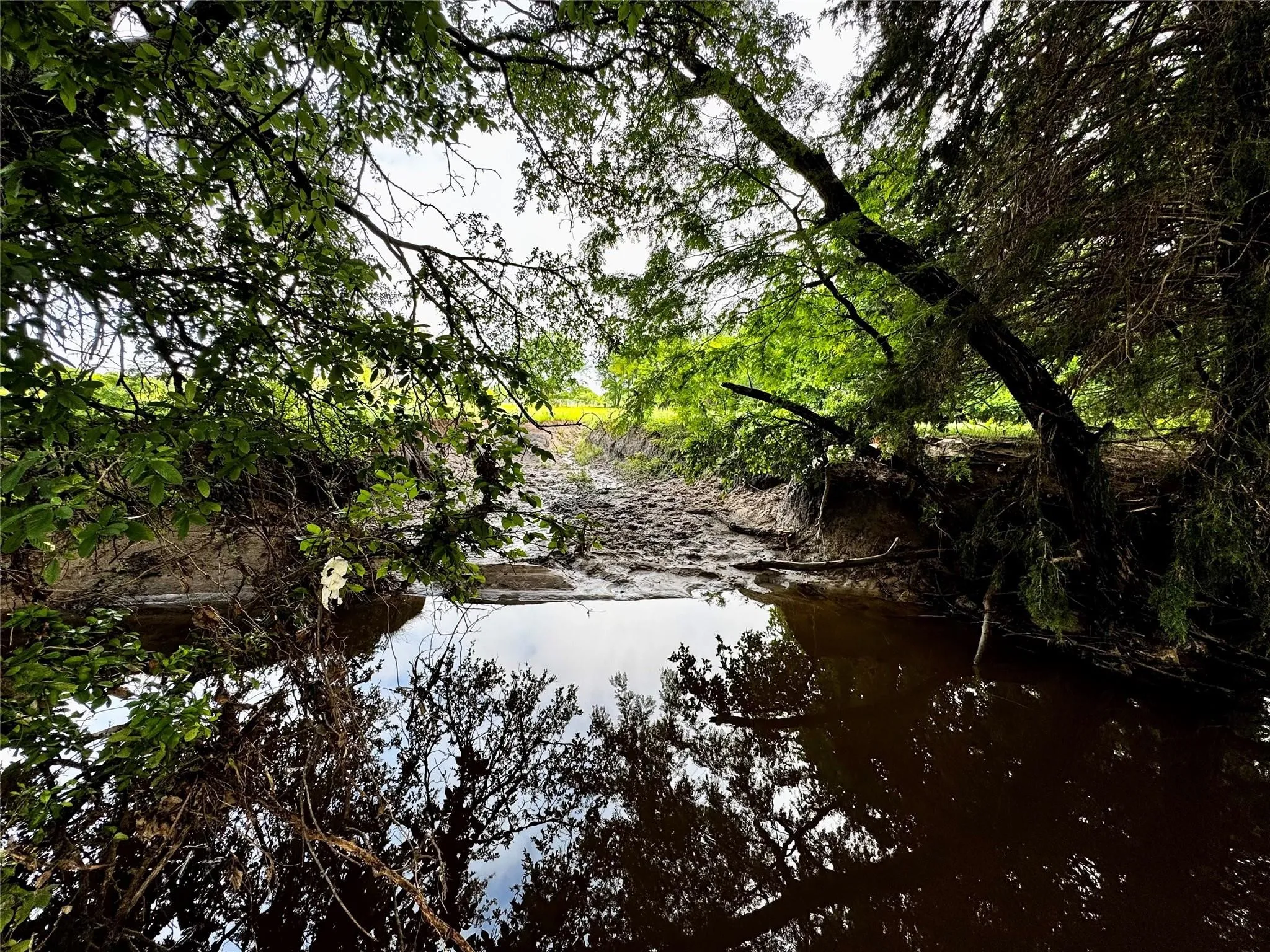 Improved Land For Sale in Wise County , 16 ACRES FM 1655 CR-1460, Chico, Texas 76431, 0, 0, Garage spaces, 0 Sqft, built in 0, Price $350,000, mls#21267866, Real Estate Agent in Chico, Homes For Sale in Wise county, Homes For Sale in Chico, Realtor in Chico Texas, Real Estate Brokerage Independent Realty Texas, Luminita Cordes Realtor