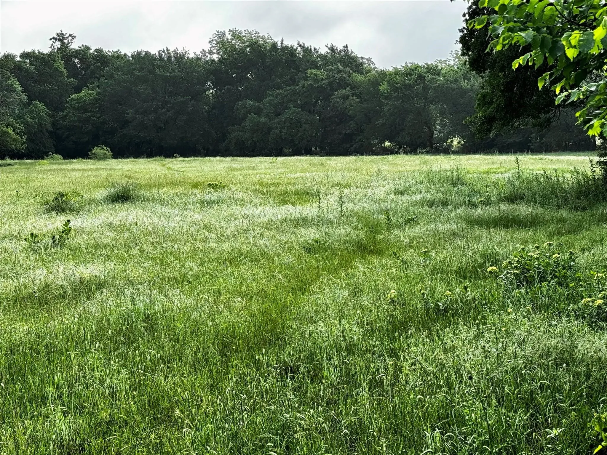 Improved Land For Sale in Wise County , 16 ACRES FM 1655 CR-1460, Chico, Texas 76431, 0, 0, Garage spaces, 0 Sqft, built in 0, Price $350,000, mls#21267866, Real Estate Agent in Chico, Homes For Sale in Wise county, Homes For Sale in Chico, Realtor in Chico Texas, Real Estate Brokerage Independent Realty Texas, Luminita Cordes Realtor