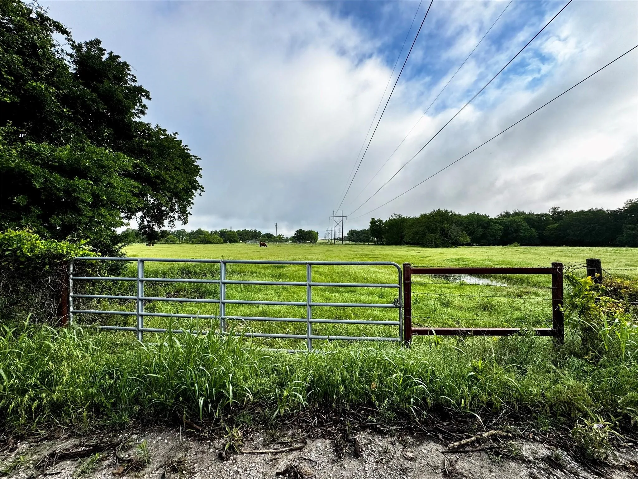 Improved Land For Sale in Wise County , 16 ACRES FM 1655 CR-1460, Chico, Texas 76431, 0, 0, Garage spaces, 0 Sqft, built in 0, Price $350,000, mls#21267866, Real Estate Agent in Chico, Homes For Sale in Wise county, Homes For Sale in Chico, Realtor in Chico Texas, Real Estate Brokerage Independent Realty Texas, Luminita Cordes Realtor