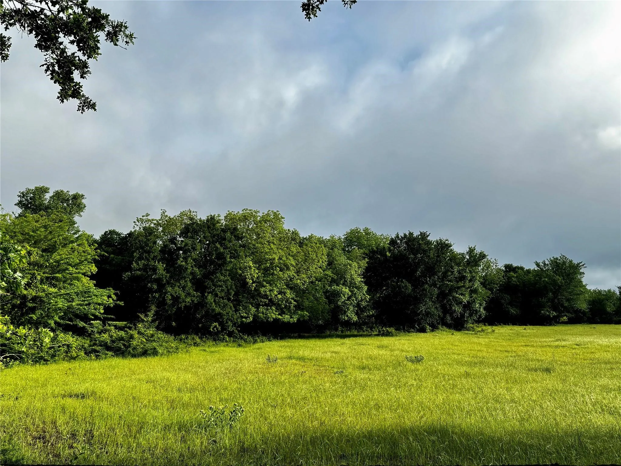 Improved Land For Sale in Wise County , 16 ACRES FM 1655 CR-1460, Chico, Texas 76431, 0, 0, Garage spaces, 0 Sqft, built in 0, Price $350,000, mls#21267866, Real Estate Agent in Chico, Homes For Sale in Wise county, Homes For Sale in Chico, Realtor in Chico Texas, Real Estate Brokerage Independent Realty Texas, Luminita Cordes Realtor