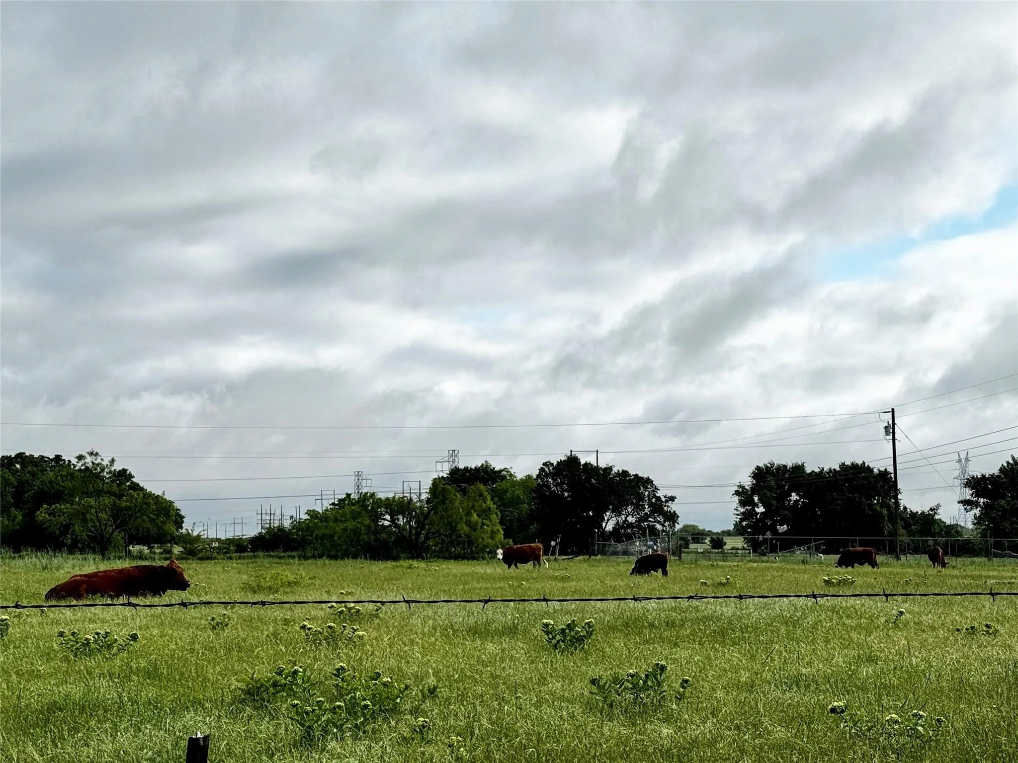 Improved Land For Sale in Wise County , 16 ACRES FM 1655 CR-1460, Chico, Texas 76431, 0, 0, Garage spaces, 0 Sqft, built in 0, Price $350,000, mls#21267866, Real Estate Agent in Chico, Homes For Sale in Wise county, Homes For Sale in Chico, Realtor in Chico Texas, Real Estate Brokerage Independent Realty Texas, Luminita Cordes Realtor