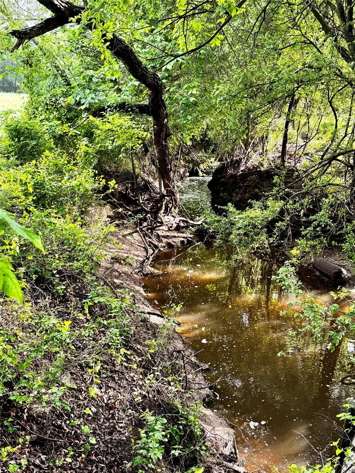 Improved Land For Sale in Wise County , 16 ACRES FM 1655 CR-1460, Chico, Texas 76431, 0, 0, Garage spaces, 0 Sqft, built in 0, Price $350,000, mls#21267866, Real Estate Agent in Chico, Homes For Sale in Wise county, Homes For Sale in Chico, Realtor in Chico Texas, Real Estate Brokerage Independent Realty Texas, Luminita Cordes Realtor