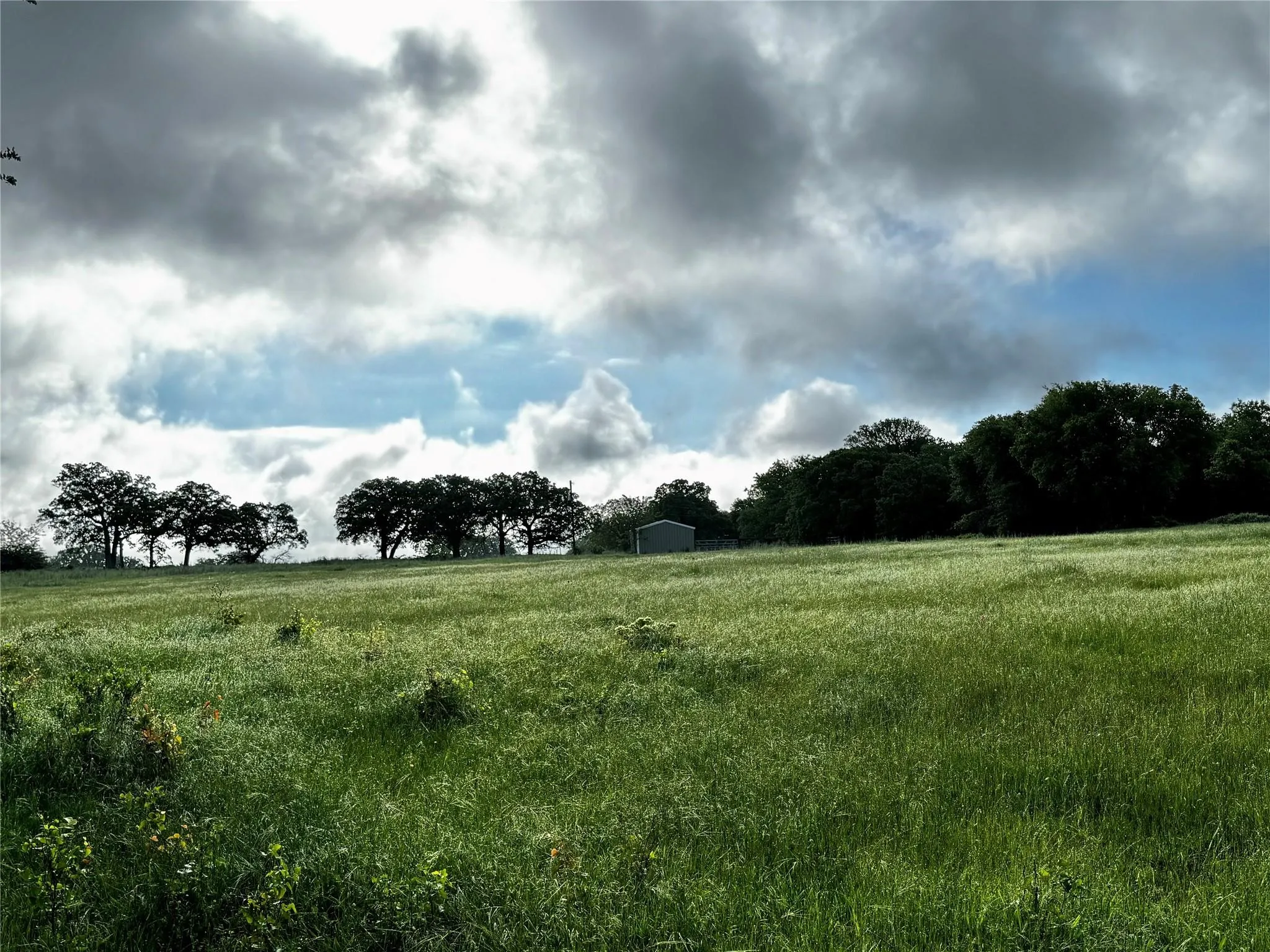 Improved Land For Sale in Wise County , 16 ACRES FM 1655 CR-1460, Chico, Texas 76431, 0, 0, Garage spaces, 0 Sqft, built in 0, Price $350,000, mls#21267866, Real Estate Agent in Chico, Homes For Sale in Wise county, Homes For Sale in Chico, Realtor in Chico Texas, Real Estate Brokerage Independent Realty Texas, Luminita Cordes Realtor