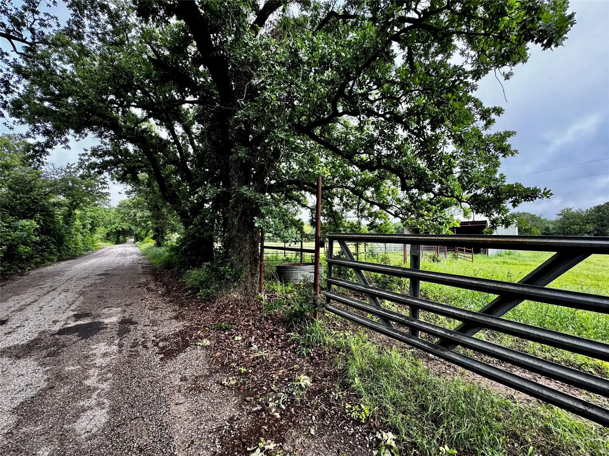 Improved Land For Sale in Wise County , 16 ACRES FM 1655 CR-1460, Chico, Texas 76431, 0, 0, Garage spaces, 0 Sqft, built in 0, Price $350,000, mls#21267866, Real Estate Agent in Chico, Homes For Sale in Wise county, Homes For Sale in Chico, Realtor in Chico Texas, Real Estate Brokerage Independent Realty Texas, Luminita Cordes Realtor