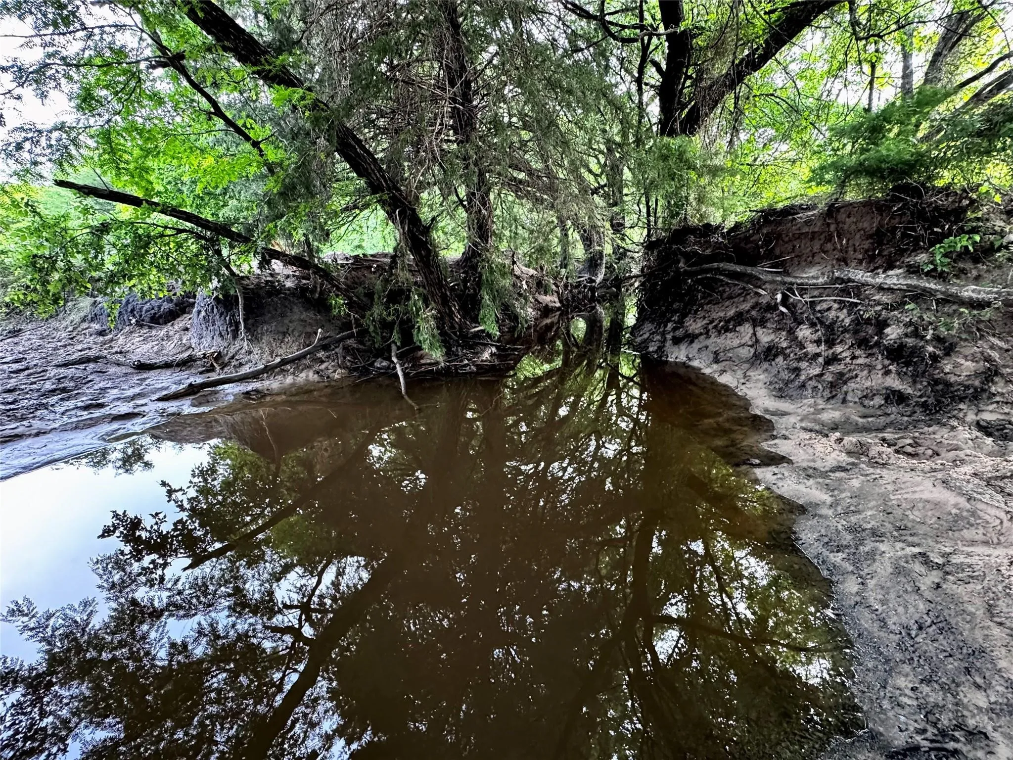 Improved Land For Sale in Wise County , 16 ACRES FM 1655 CR-1460, Chico, Texas 76431, 0, 0, Garage spaces, 0 Sqft, built in 0, Price $350,000, mls#21267866, Real Estate Agent in Chico, Homes For Sale in Wise county, Homes For Sale in Chico, Realtor in Chico Texas, Real Estate Brokerage Independent Realty Texas, Luminita Cordes Realtor