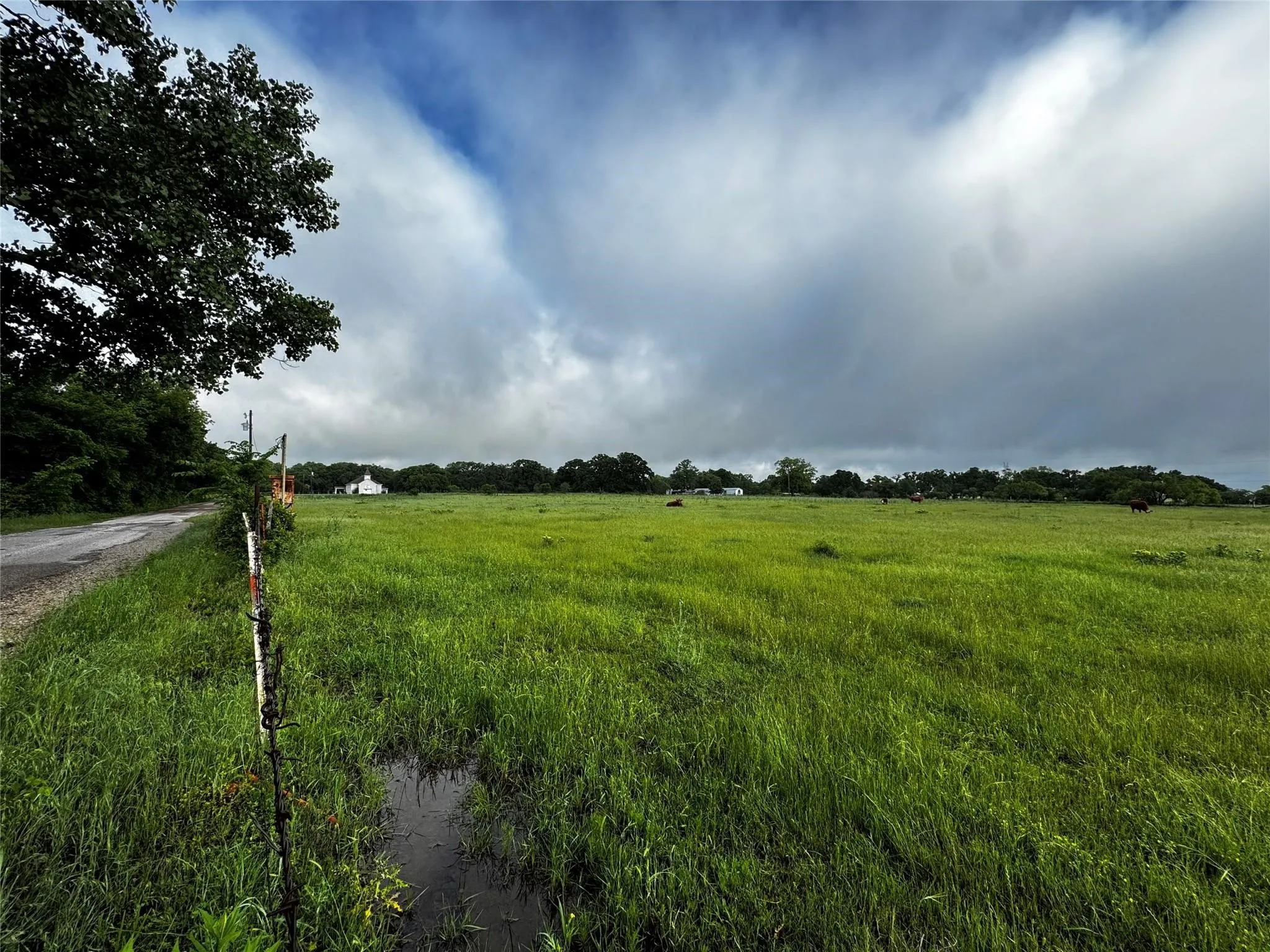 Improved Land For Sale in Wise County , 16 ACRES FM 1655 CR-1460, Chico, Texas 76431, 0, 0, Garage spaces, 0 Sqft, built in 0, Price $350,000, mls#21267866, Real Estate Agent in Chico, Homes For Sale in Wise county, Homes For Sale in Chico, Realtor in Chico Texas, Real Estate Brokerage Independent Realty Texas, Luminita Cordes Realtor