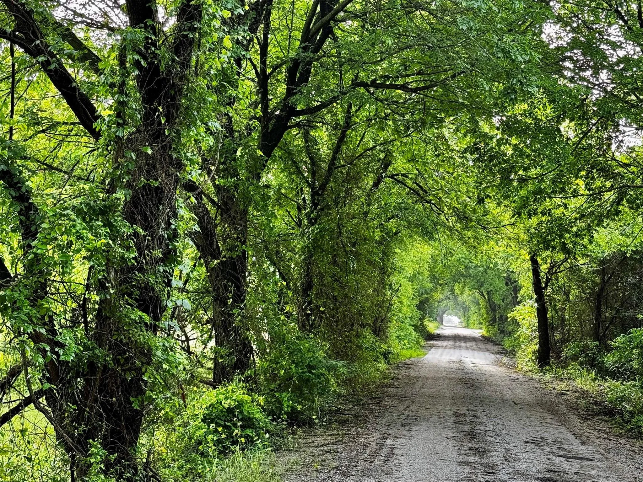 Improved Land For Sale in Wise County , 16 ACRES FM 1655 CR-1460, Chico, Texas 76431, 0, 0, Garage spaces, 0 Sqft, built in 0, Price $350,000, mls#21267866, Real Estate Agent in Chico, Homes For Sale in Wise county, Homes For Sale in Chico, Realtor in Chico Texas, Real Estate Brokerage Independent Realty Texas, Luminita Cordes Realtor