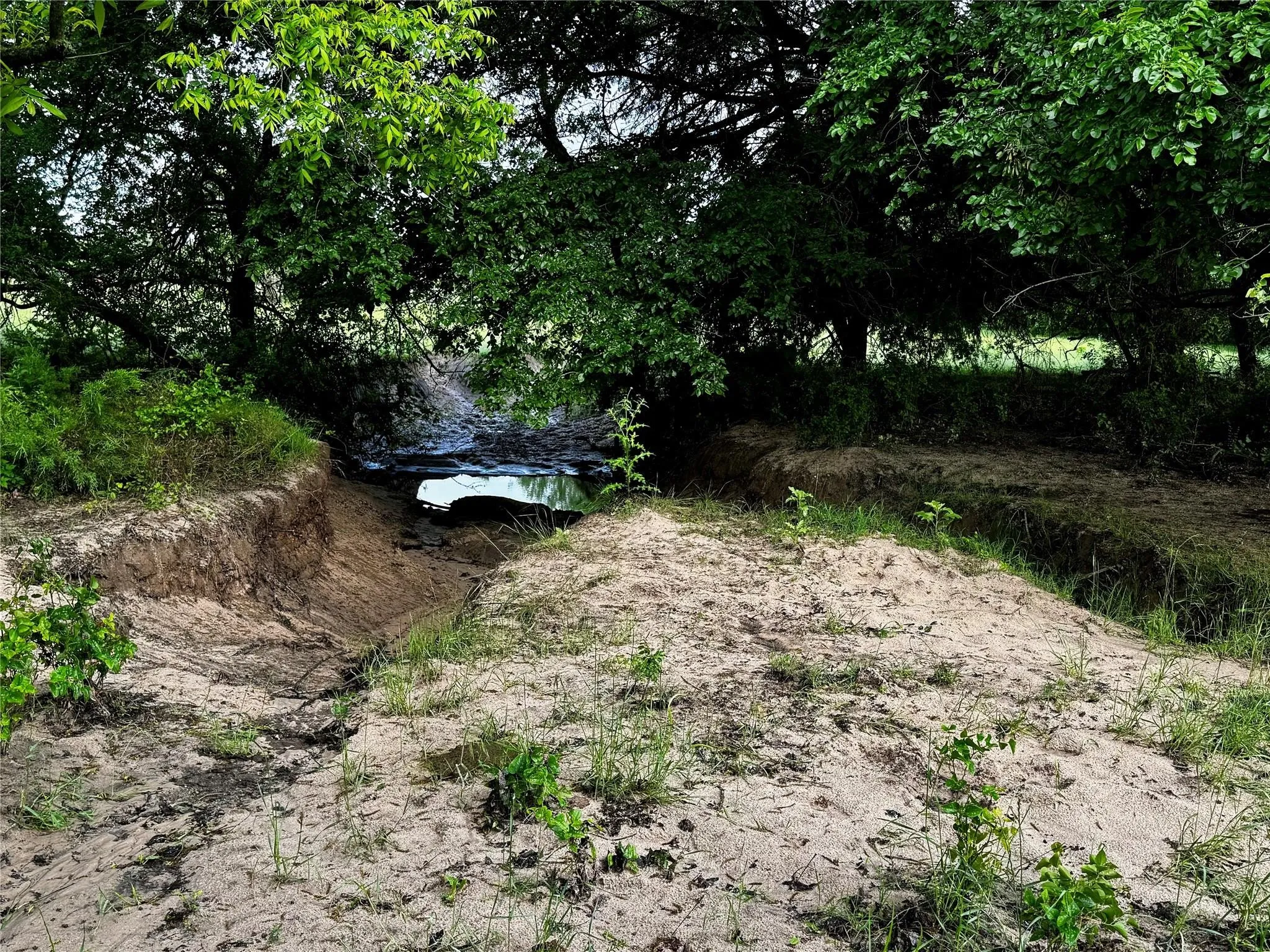 Improved Land For Sale in Wise County , 16 ACRES FM 1655 CR-1460, Chico, Texas 76431, 0, 0, Garage spaces, 0 Sqft, built in 0, Price $350,000, mls#21267866, Real Estate Agent in Chico, Homes For Sale in Wise county, Homes For Sale in Chico, Realtor in Chico Texas, Real Estate Brokerage Independent Realty Texas, Luminita Cordes Realtor