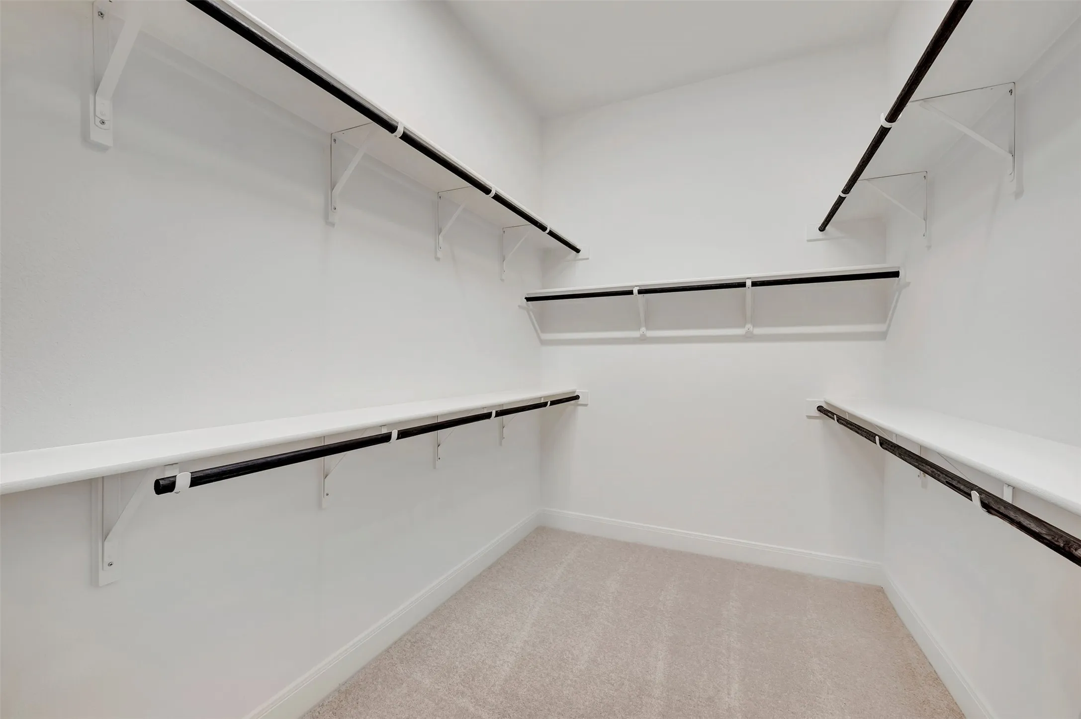 Walk-in closet featuring white wall shelving, integrated hanging rods, and light-toned carpeting