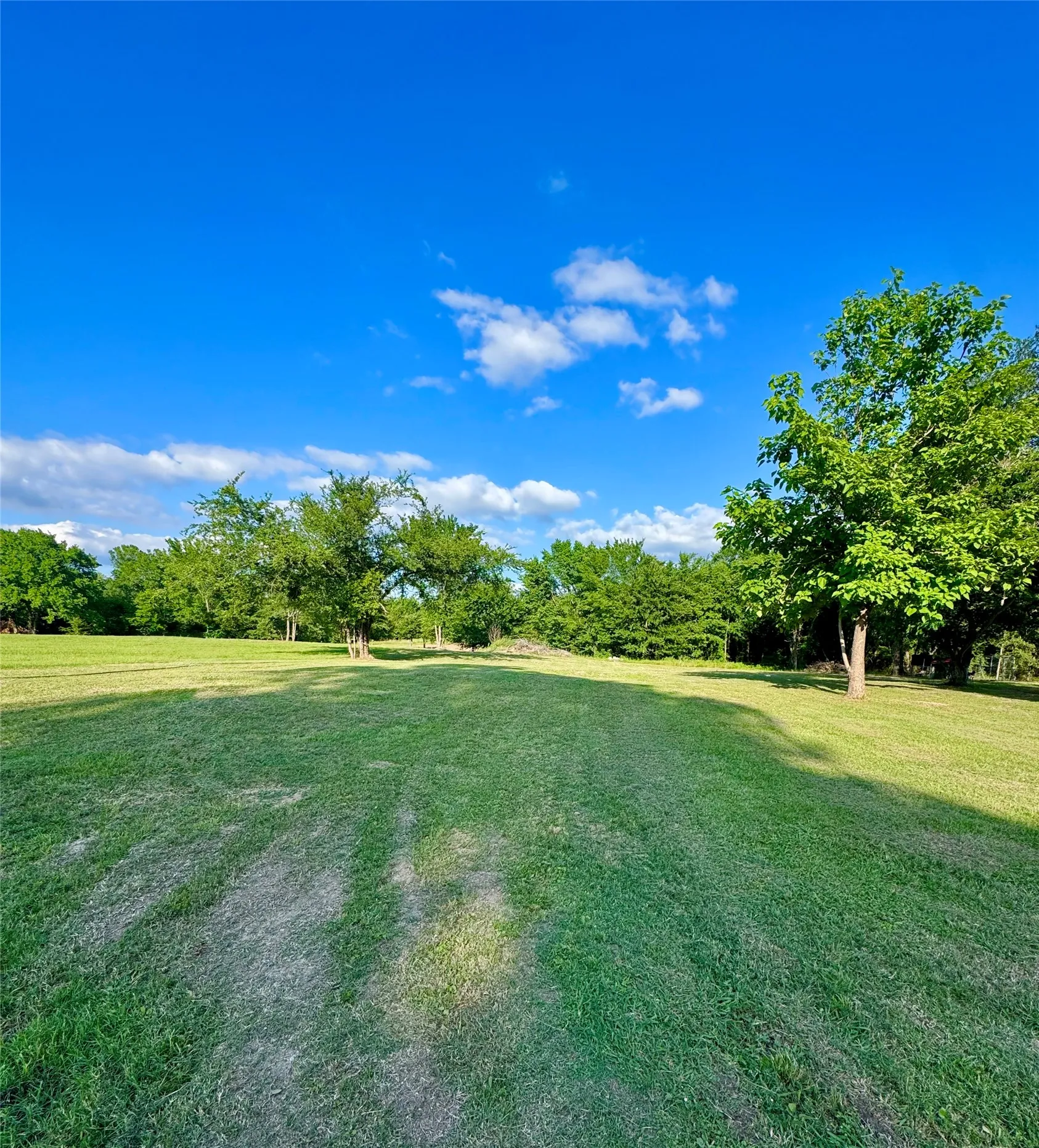 Improved Land For Sale in Kaufman County , 14576 Coffee Lane, Scurry, Texas 75158, 0, 0, Garage spaces, 0 Sqft, built in 0, mls#21268045, Real Estate Agent in Scurry, Homes For Sale in Kaufman county, Homes For Sale in Scurry, Realtor in Scurry Texas, Real Estate Brokerage Independent Realty Texas, Luminita Cordes Realtor