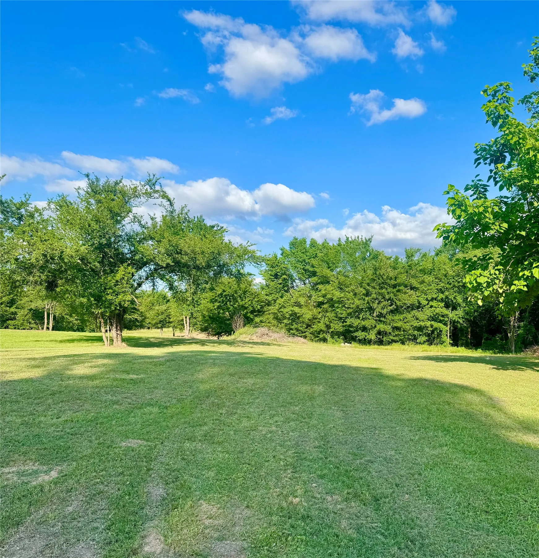 Improved Land For Sale in Kaufman County , 14576 Coffee Lane, Scurry, Texas 75158, 0, 0, Garage spaces, 0 Sqft, built in 0, mls#21268045, Real Estate Agent in Scurry, Homes For Sale in Kaufman county, Homes For Sale in Scurry, Realtor in Scurry Texas, Real Estate Brokerage Independent Realty Texas, Luminita Cordes Realtor