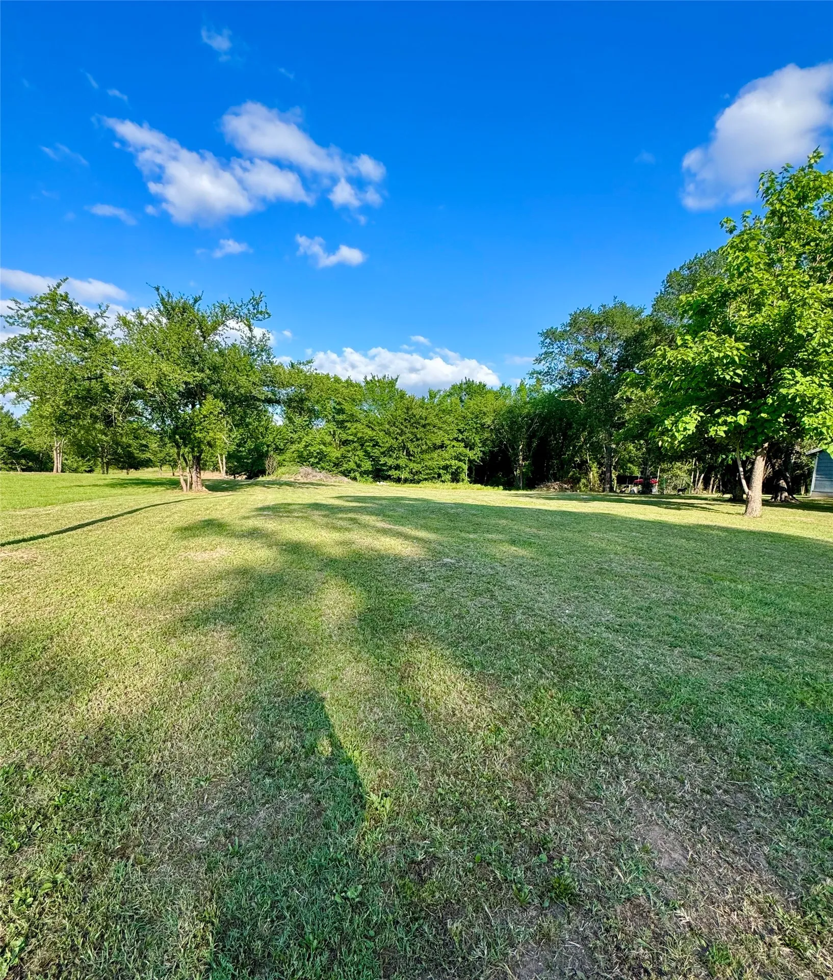 Improved Land For Sale in Kaufman County , 14576 Coffee Lane, Scurry, Texas 75158, 0, 0, Garage spaces, 0 Sqft, built in 0, mls#21268045, Real Estate Agent in Scurry, Homes For Sale in Kaufman county, Homes For Sale in Scurry, Realtor in Scurry Texas, Real Estate Brokerage Independent Realty Texas, Luminita Cordes Realtor