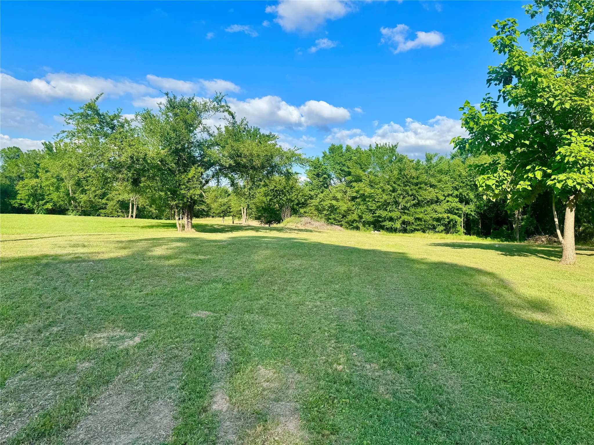 Improved Land For Sale in Kaufman County , 14576 Coffee Lane, Scurry, Texas 75158, 0, 0, Garage spaces, 0 Sqft, built in 0, mls#21268045, Real Estate Agent in Scurry, Homes For Sale in Kaufman county, Homes For Sale in Scurry, Realtor in Scurry Texas, Real Estate Brokerage Independent Realty Texas, Luminita Cordes Realtor