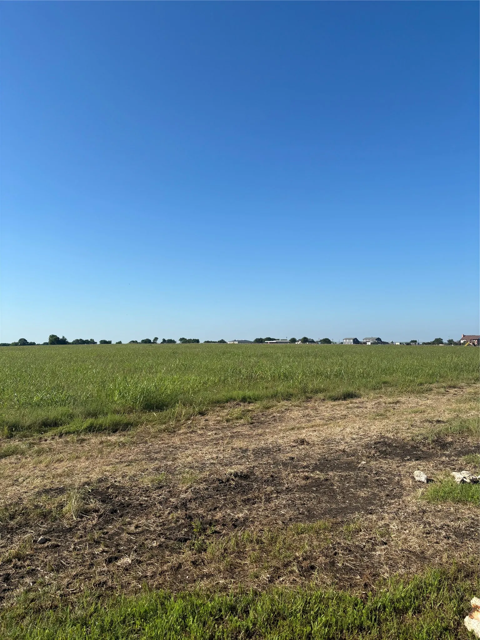 Unimproved Land For Sale in Ellis County , TBD Boz Road 3, Waxahachie, Texas 75167, 0, 0, Garage spaces, 0 Sqft, built in 0, Price $179,900, mls#21261519, Real Estate Agent in Waxahachie, Homes For Sale in Ellis county, Homes For Sale in Waxahachie, Realtor in Waxahachie Texas, Real Estate Brokerage Independent Realty Texas, Luminita Cordes Realtor