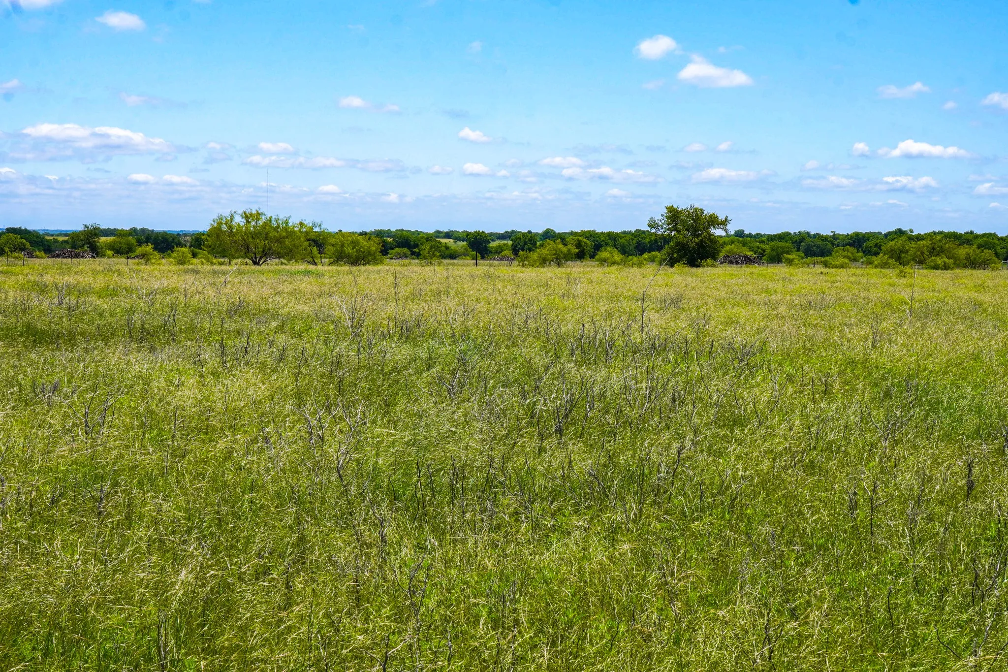 Ranch For Sale in Jack County , 20.92 Acres Hwy 281, Jacksboro, Texas 76458, 0, 0, Garage spaces, 0 Sqft, built in 0, mls#21268211, Real Estate Agent in Jacksboro, Homes For Sale in Jack county, Homes For Sale in Jacksboro, Realtor in Jacksboro Texas, Real Estate Brokerage Independent Realty Texas, Luminita Cordes Realtor
