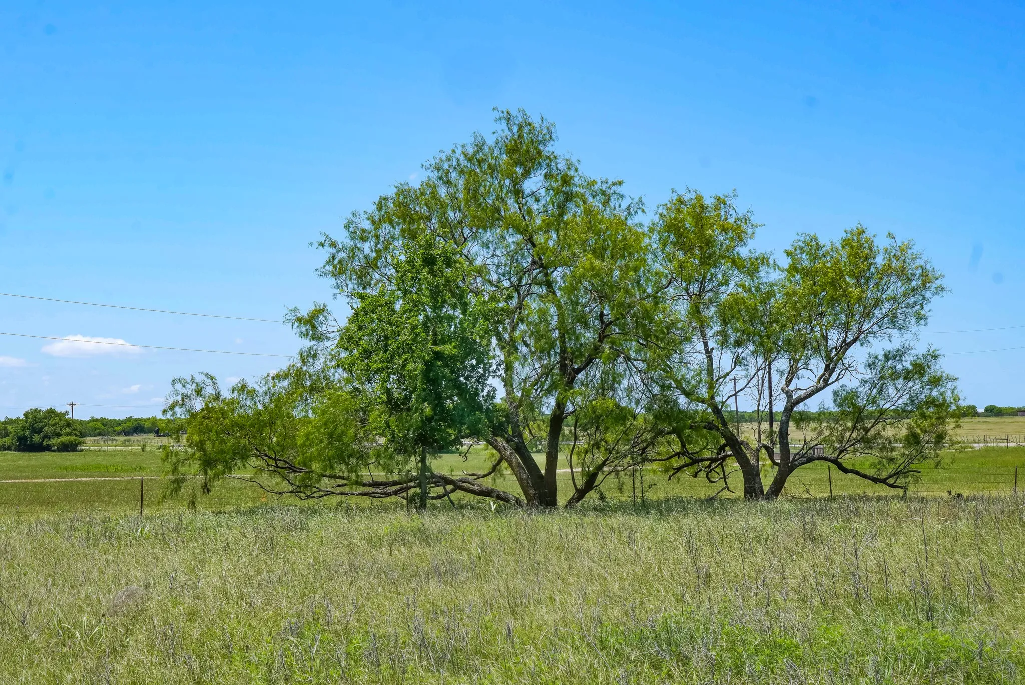 Ranch For Sale in Jack County , 20.92 Acres Hwy 281, Jacksboro, Texas 76458, 0, 0, Garage spaces, 0 Sqft, built in 0, mls#21268211, Real Estate Agent in Jacksboro, Homes For Sale in Jack county, Homes For Sale in Jacksboro, Realtor in Jacksboro Texas, Real Estate Brokerage Independent Realty Texas, Luminita Cordes Realtor