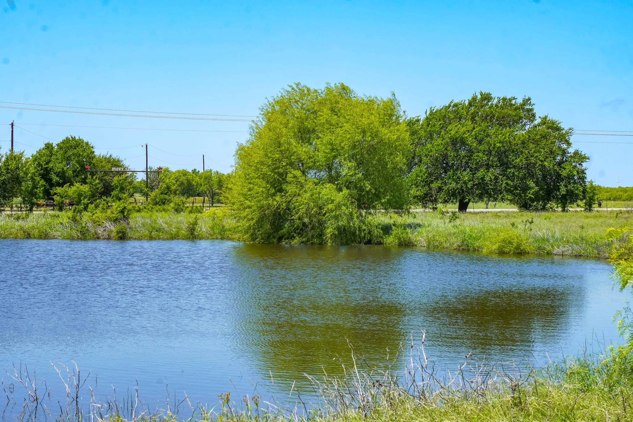 Ranch For Sale in Jack County , 20.92 Acres Hwy 281, Jacksboro, Texas 76458, 0, 0, Garage spaces, 0 Sqft, built in 0, mls#21268211, Real Estate Agent in Jacksboro, Homes For Sale in Jack county, Homes For Sale in Jacksboro, Realtor in Jacksboro Texas, Real Estate Brokerage Independent Realty Texas, Luminita Cordes Realtor