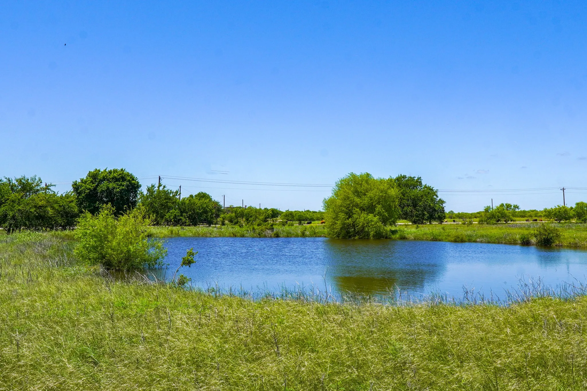 Ranch For Sale in Jack County , 20.92 Acres Hwy 281, Jacksboro, Texas 76458, 0, 0, Garage spaces, 0 Sqft, built in 0, mls#21268211, Real Estate Agent in Jacksboro, Homes For Sale in Jack county, Homes For Sale in Jacksboro, Realtor in Jacksboro Texas, Real Estate Brokerage Independent Realty Texas, Luminita Cordes Realtor