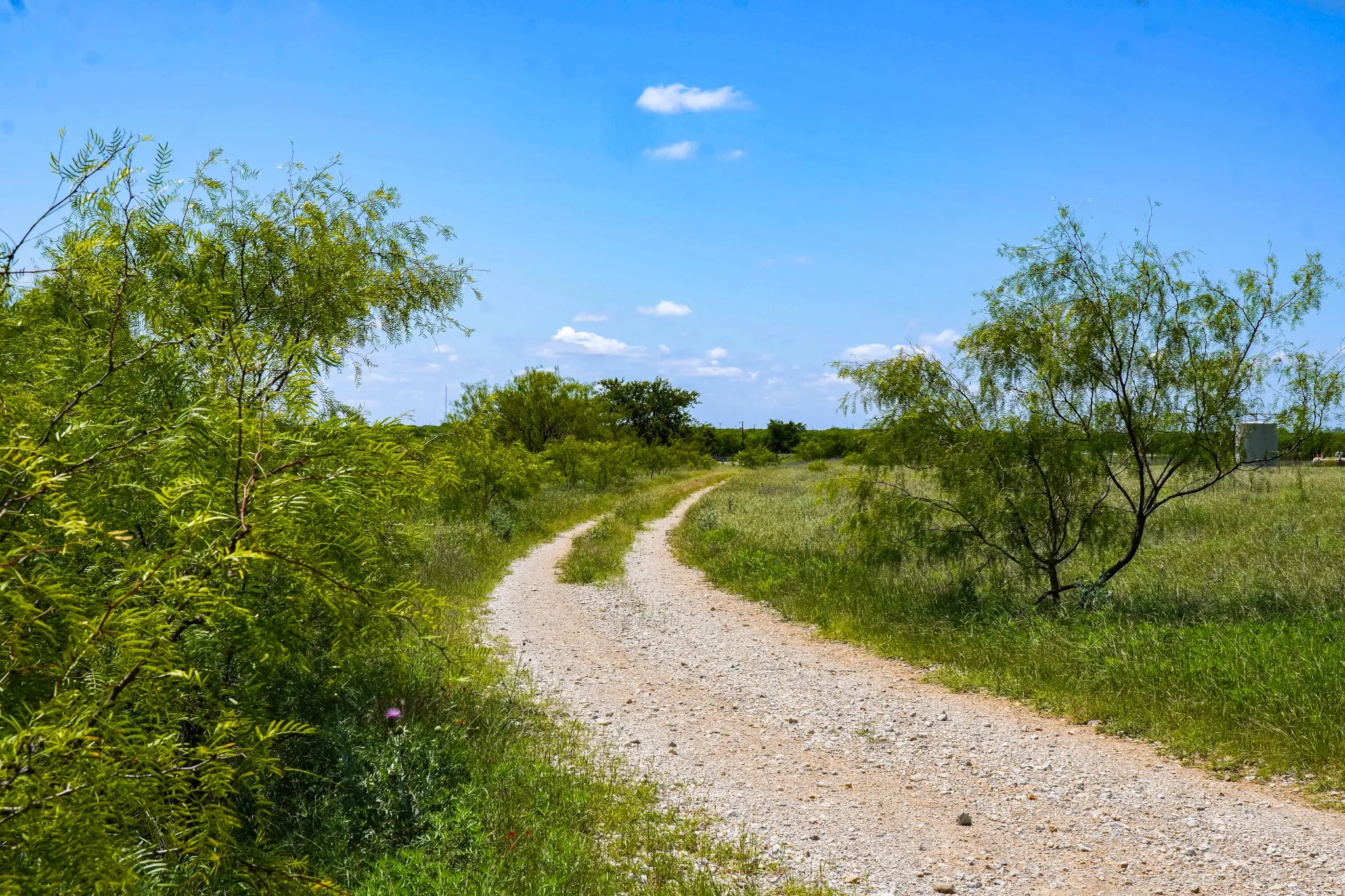 Ranch For Sale in Jack County , 20.92 Acres Hwy 281, Jacksboro, Texas 76458, 0, 0, Garage spaces, 0 Sqft, built in 0, mls#21268211, Real Estate Agent in Jacksboro, Homes For Sale in Jack county, Homes For Sale in Jacksboro, Realtor in Jacksboro Texas, Real Estate Brokerage Independent Realty Texas, Luminita Cordes Realtor
