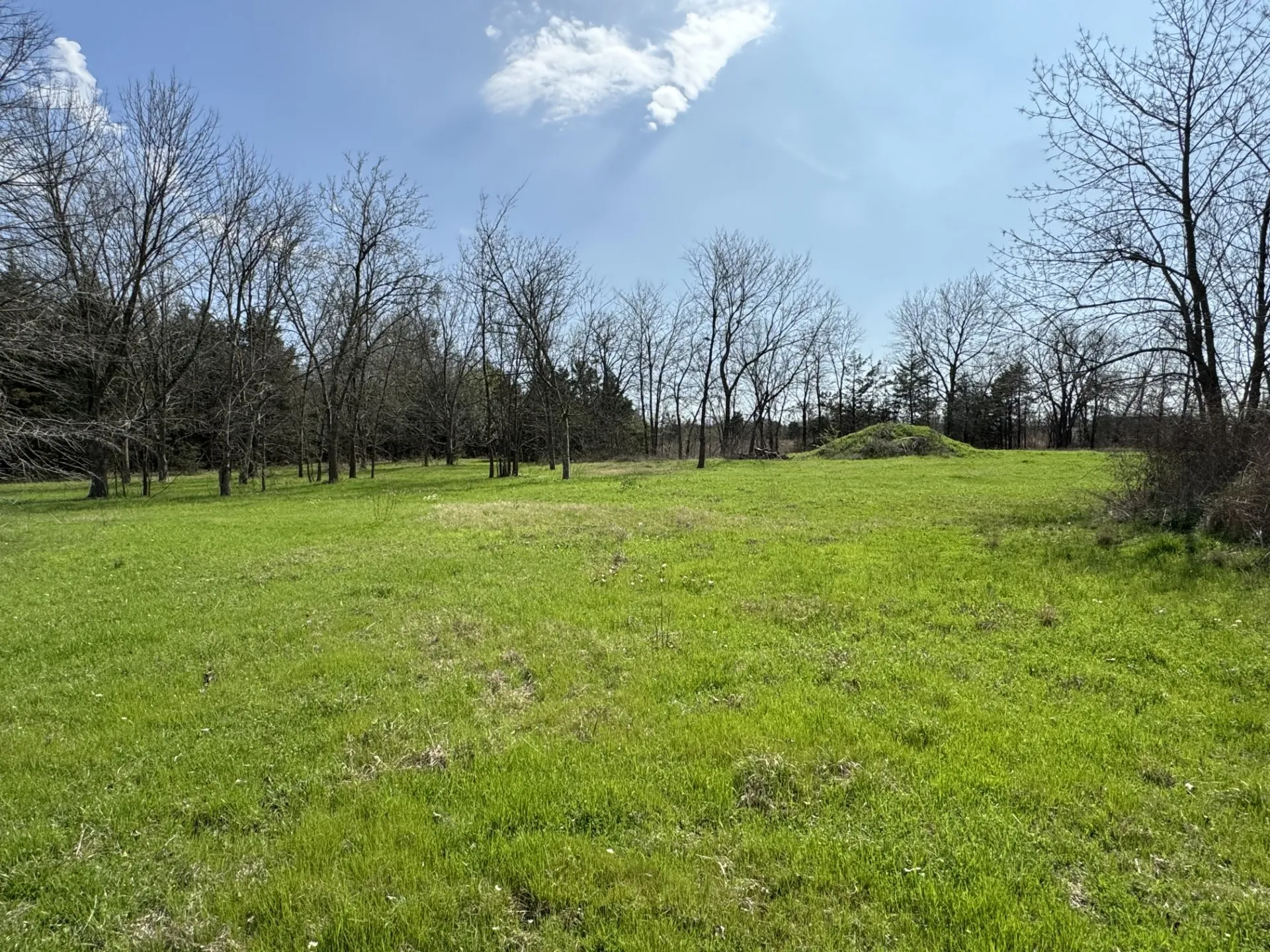 Unimproved Land For Sale in Lamar County , 000 NE Loop 286, Paris, Texas 75460, 0, 0, Garage spaces, 0 Sqft, built in 0, Price $1,350,000, mls#21268217, Real Estate Agent in Paris, Homes For Sale in Lamar county, Homes For Sale in Paris, Realtor in Paris Texas, Real Estate Brokerage Independent Realty Texas, Luminita Cordes Realtor