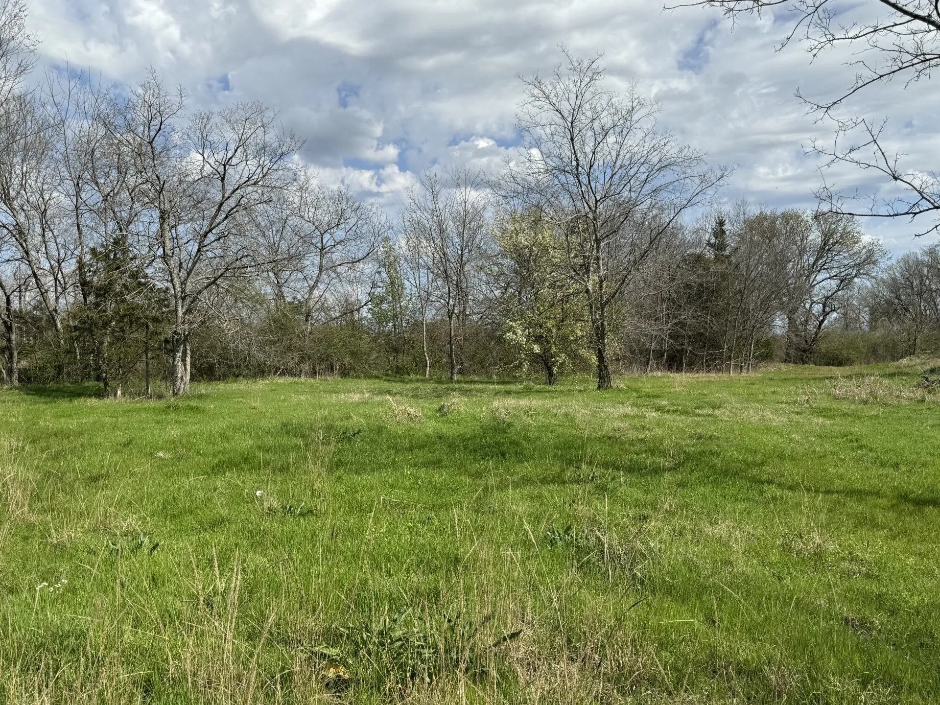 Unimproved Land For Sale in Lamar County , 000 NE Loop 286, Paris, Texas 75460, 0, 0, Garage spaces, 0 Sqft, built in 0, Price $1,350,000, mls#21268217, Real Estate Agent in Paris, Homes For Sale in Lamar county, Homes For Sale in Paris, Realtor in Paris Texas, Real Estate Brokerage Independent Realty Texas, Luminita Cordes Realtor