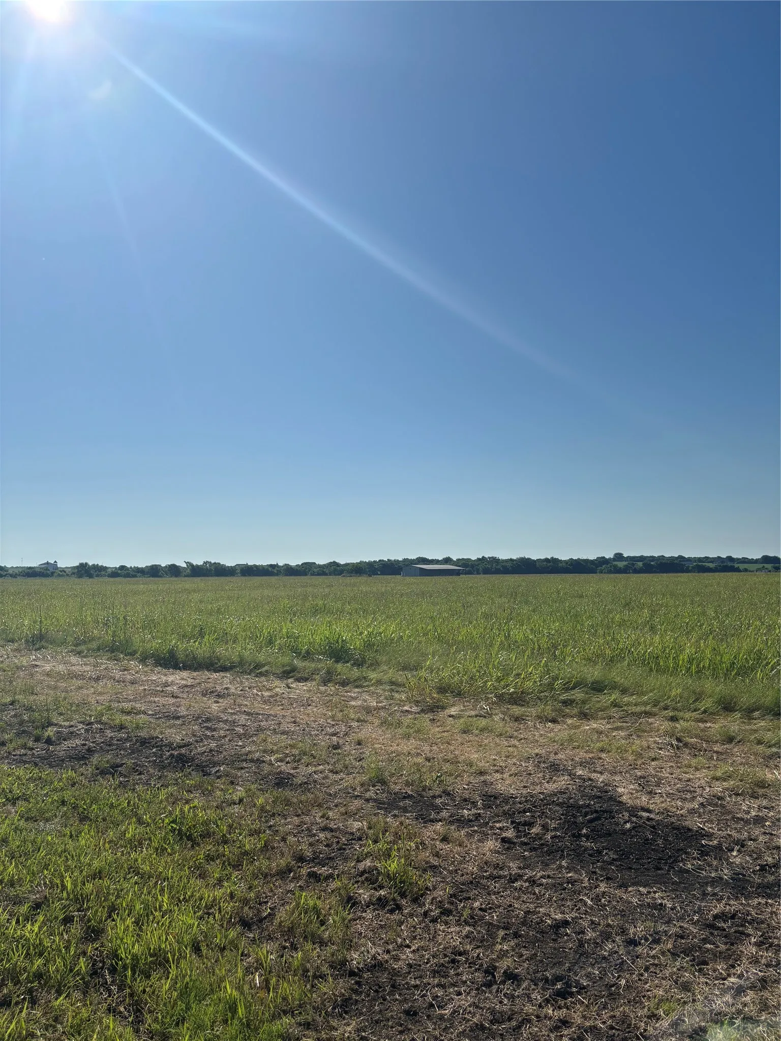 Unimproved Land For Sale in Ellis County , TBD Boz Road 6, Waxahachie, Texas 75167, 0, 0, Garage spaces, 0 Sqft, built in 0, Price $179,900, mls#21268167, Real Estate Agent in Waxahachie, Homes For Sale in Ellis county, Homes For Sale in Waxahachie, Realtor in Waxahachie Texas, Real Estate Brokerage Independent Realty Texas, Luminita Cordes Realtor