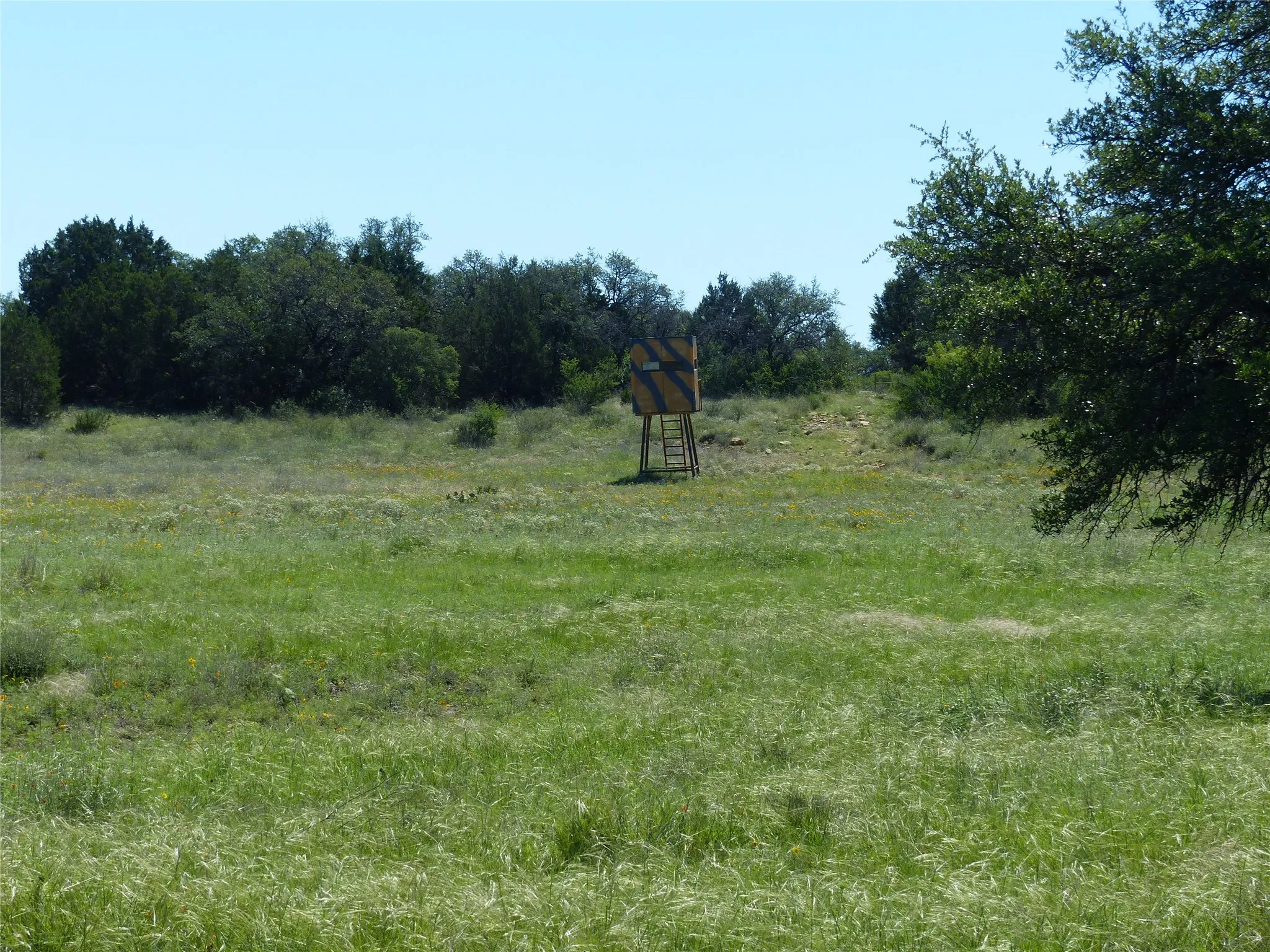 Farm For Sale in Mc Culloch County , 1825 FM 1028, Rochelle, Texas 76872, 2 Bedroom, 2 Bathroom, Garage spaces, 2,090 Sqft, built in 2000, mls#21268255, Real Estate Agent in Rochelle, Homes For Sale in Mc Culloch county, Homes For Sale in Rochelle, Realtor in Rochelle Texas, Real Estate Brokerage Independent Realty Texas, Luminita Cordes Realtor