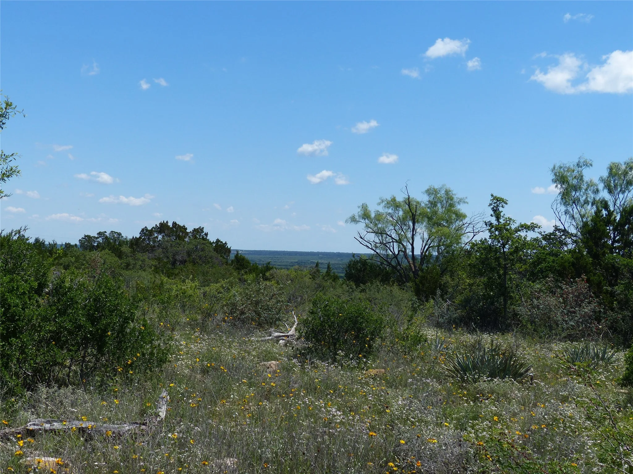 Farm For Sale in Mc Culloch County , 1825 FM 1028, Rochelle, Texas 76872, 2 Bedroom, 2 Bathroom, Garage spaces, 2,090 Sqft, built in 2000, mls#21268255, Real Estate Agent in Rochelle, Homes For Sale in Mc Culloch county, Homes For Sale in Rochelle, Realtor in Rochelle Texas, Real Estate Brokerage Independent Realty Texas, Luminita Cordes Realtor