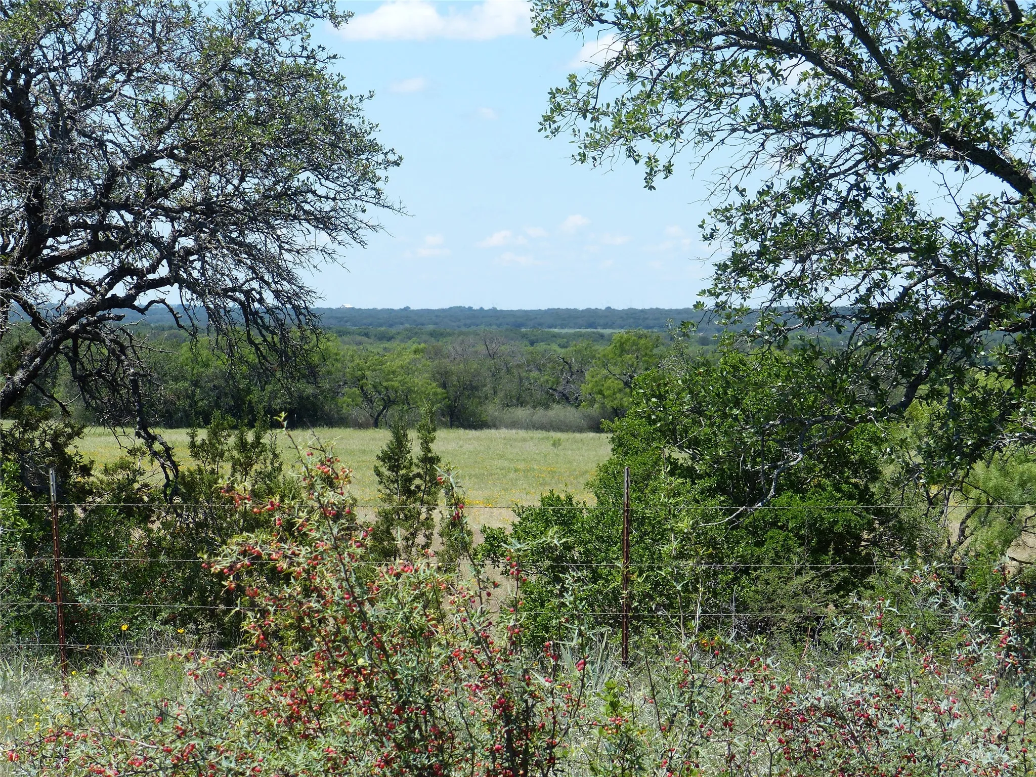 Farm For Sale in Mc Culloch County , 1825 FM 1028, Rochelle, Texas 76872, 2 Bedroom, 2 Bathroom, Garage spaces, 2,090 Sqft, built in 2000, mls#21268255, Real Estate Agent in Rochelle, Homes For Sale in Mc Culloch county, Homes For Sale in Rochelle, Realtor in Rochelle Texas, Real Estate Brokerage Independent Realty Texas, Luminita Cordes Realtor