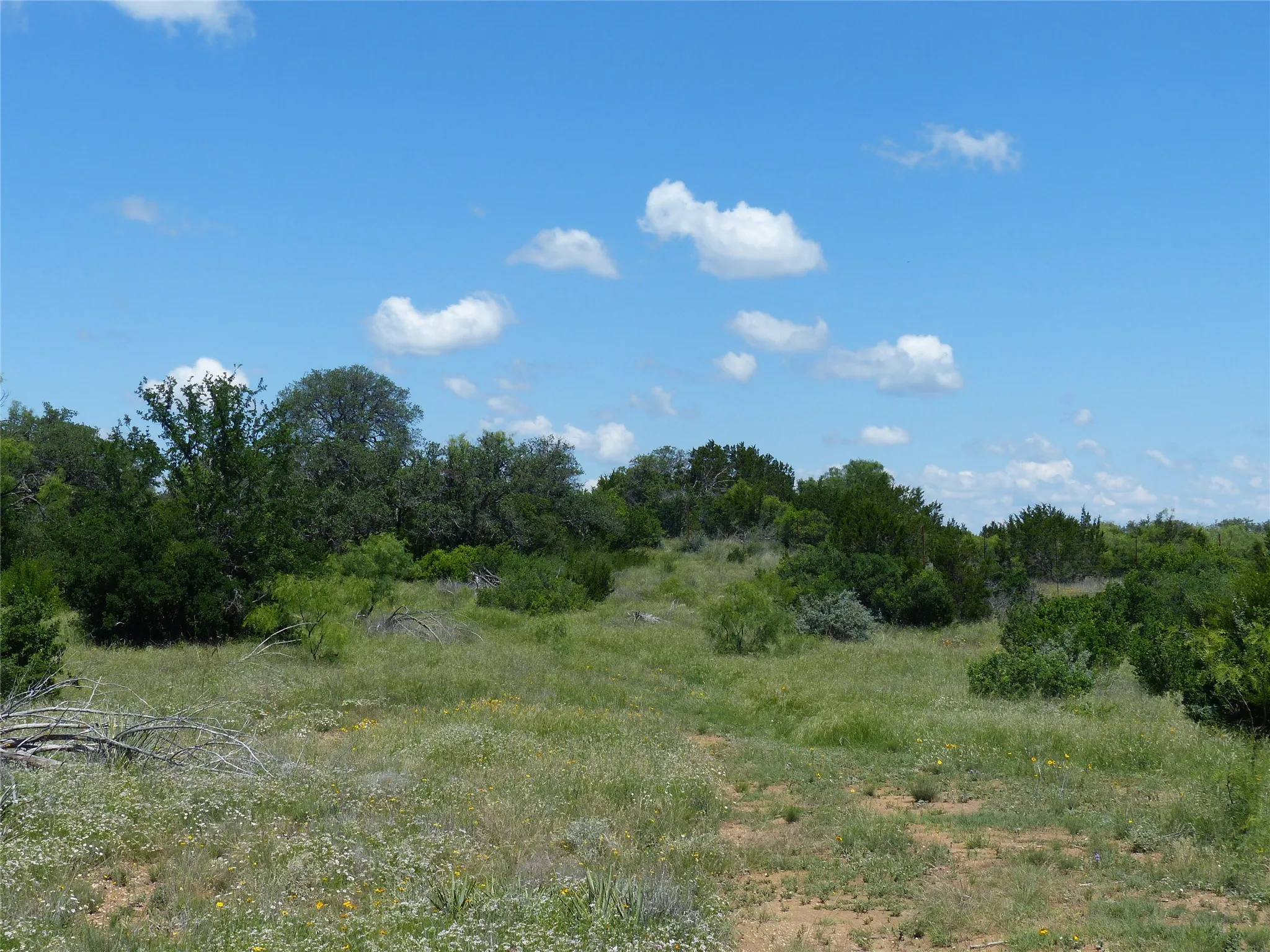 Farm For Sale in Mc Culloch County , 1825 FM 1028, Rochelle, Texas 76872, 2 Bedroom, 2 Bathroom, Garage spaces, 2,090 Sqft, built in 2000, mls#21268255, Real Estate Agent in Rochelle, Homes For Sale in Mc Culloch county, Homes For Sale in Rochelle, Realtor in Rochelle Texas, Real Estate Brokerage Independent Realty Texas, Luminita Cordes Realtor