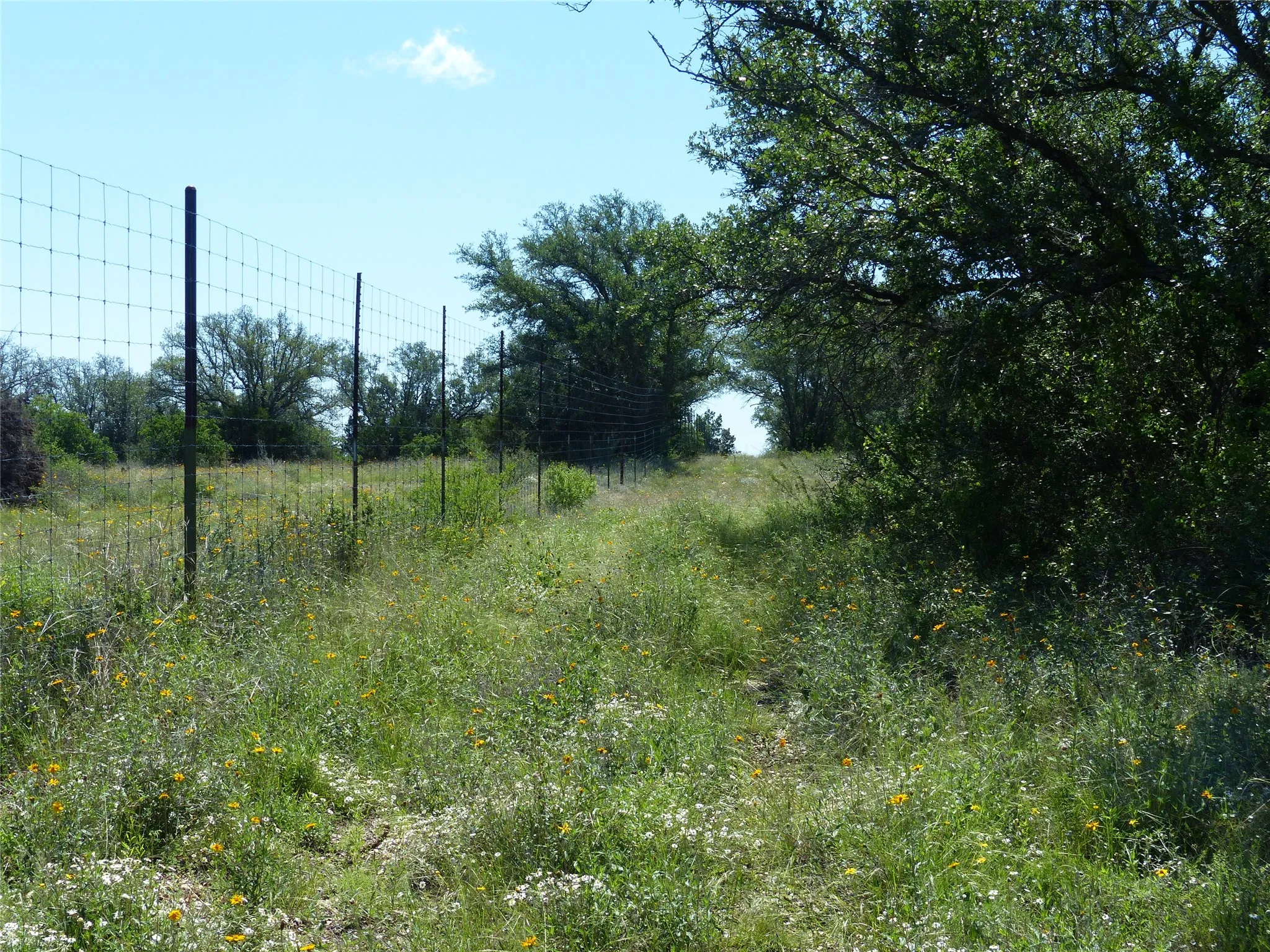 Farm For Sale in Mc Culloch County , 1825 FM 1028, Rochelle, Texas 76872, 2 Bedroom, 2 Bathroom, Garage spaces, 2,090 Sqft, built in 2000, mls#21268255, Real Estate Agent in Rochelle, Homes For Sale in Mc Culloch county, Homes For Sale in Rochelle, Realtor in Rochelle Texas, Real Estate Brokerage Independent Realty Texas, Luminita Cordes Realtor