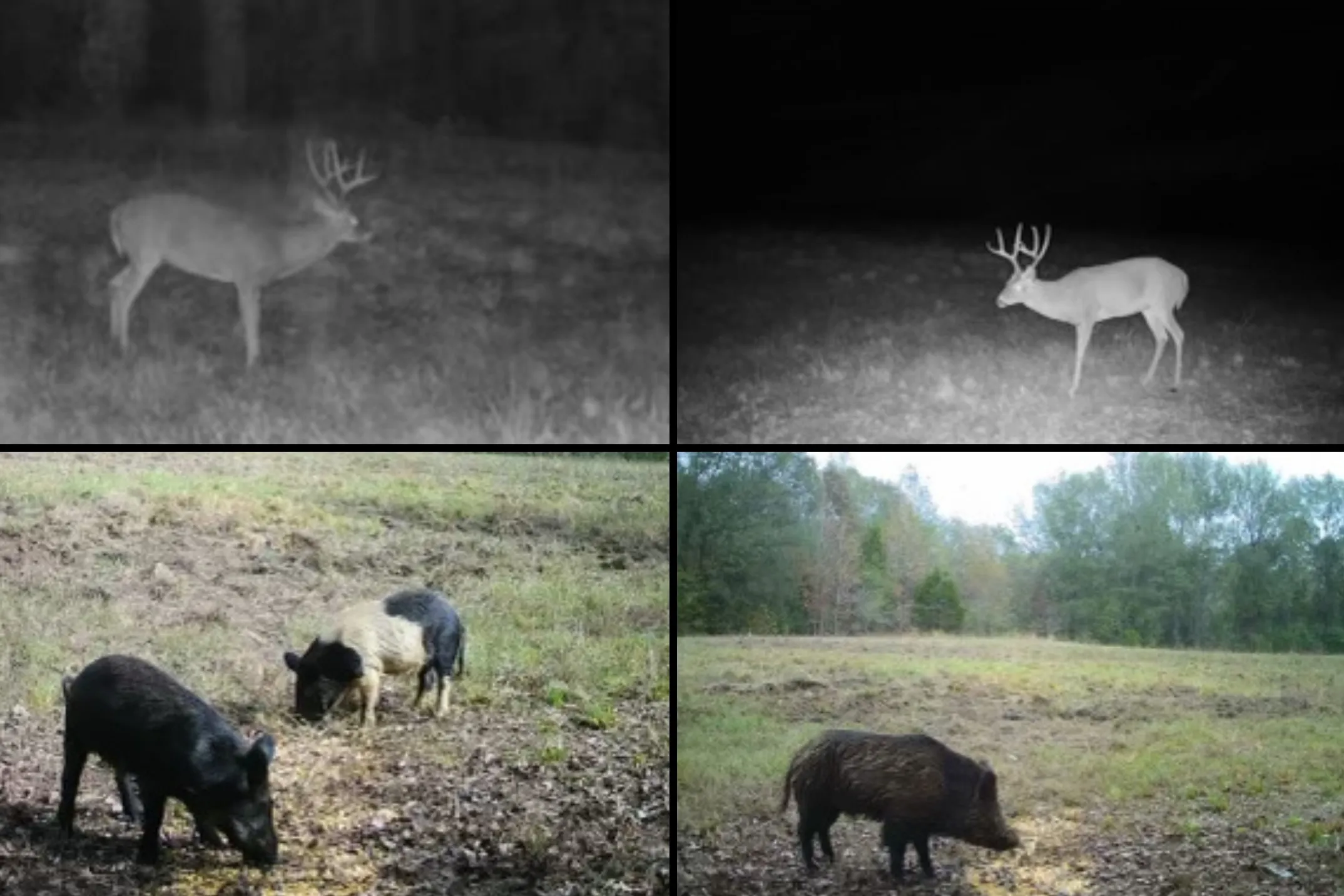 Unimproved Land For Sale in Smith County , 00 Hwy 69 / CR 484, Mineola, Texas 75773, 0, 0, Garage spaces, 0 Sqft, built in 0, mls#21267561, Real Estate Agent in Mineola, Homes For Sale in Smith county, Homes For Sale in Mineola, Realtor in Mineola Texas, Real Estate Brokerage Independent Realty Texas, Luminita Cordes Realtor
