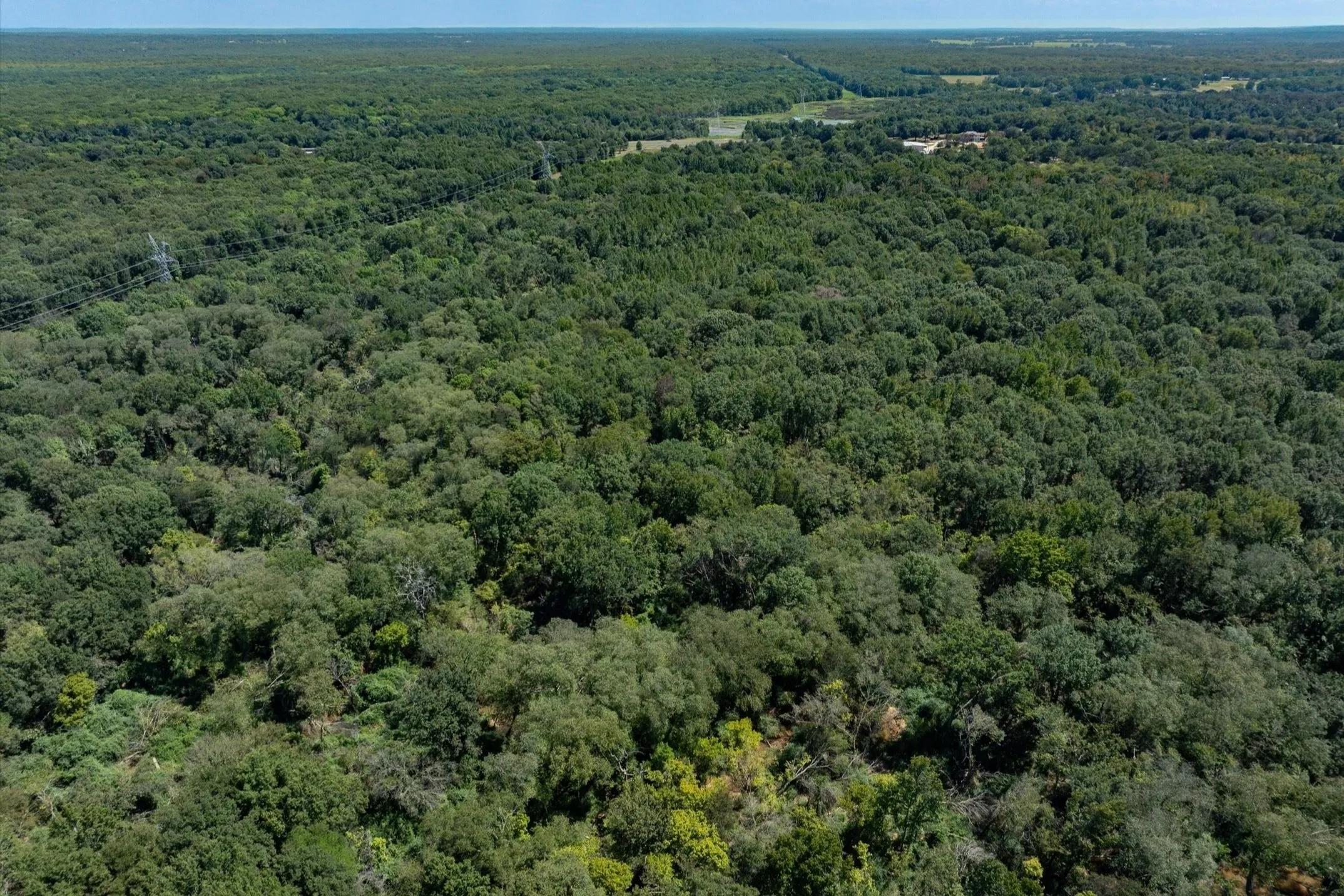 Unimproved Land For Sale in Smith County , 00 Hwy 69 / CR 484, Mineola, Texas 75773, 0, 0, Garage spaces, 0 Sqft, built in 0, mls#21267561, Real Estate Agent in Mineola, Homes For Sale in Smith county, Homes For Sale in Mineola, Realtor in Mineola Texas, Real Estate Brokerage Independent Realty Texas, Luminita Cordes Realtor