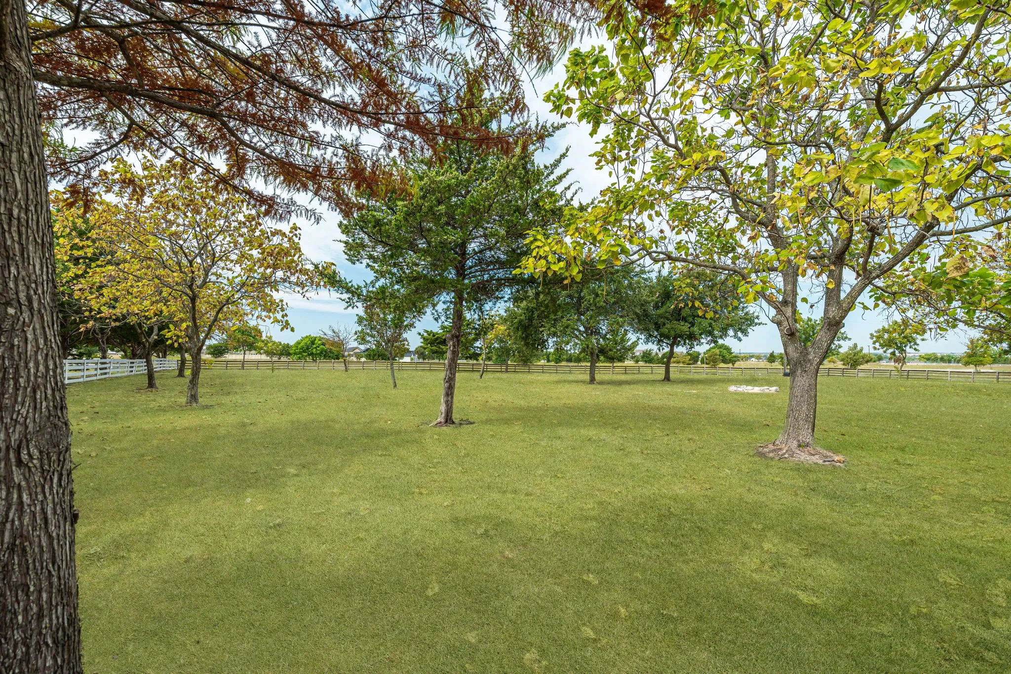 Single Family Residence For Sale in Collin County , 15 Brookhollow Circle, Melissa, Texas 75454, 5 Bedroom, 4 Bathroom, 2 Garage spaces, 3,439 Sqft, built in 1996, mls#21267902, Real Estate Agent in Melissa, Homes For Sale in Collin county, Homes For Sale in Melissa, Realtor in Melissa Texas, Real Estate Brokerage Independent Realty Texas, Luminita Cordes Realtor
