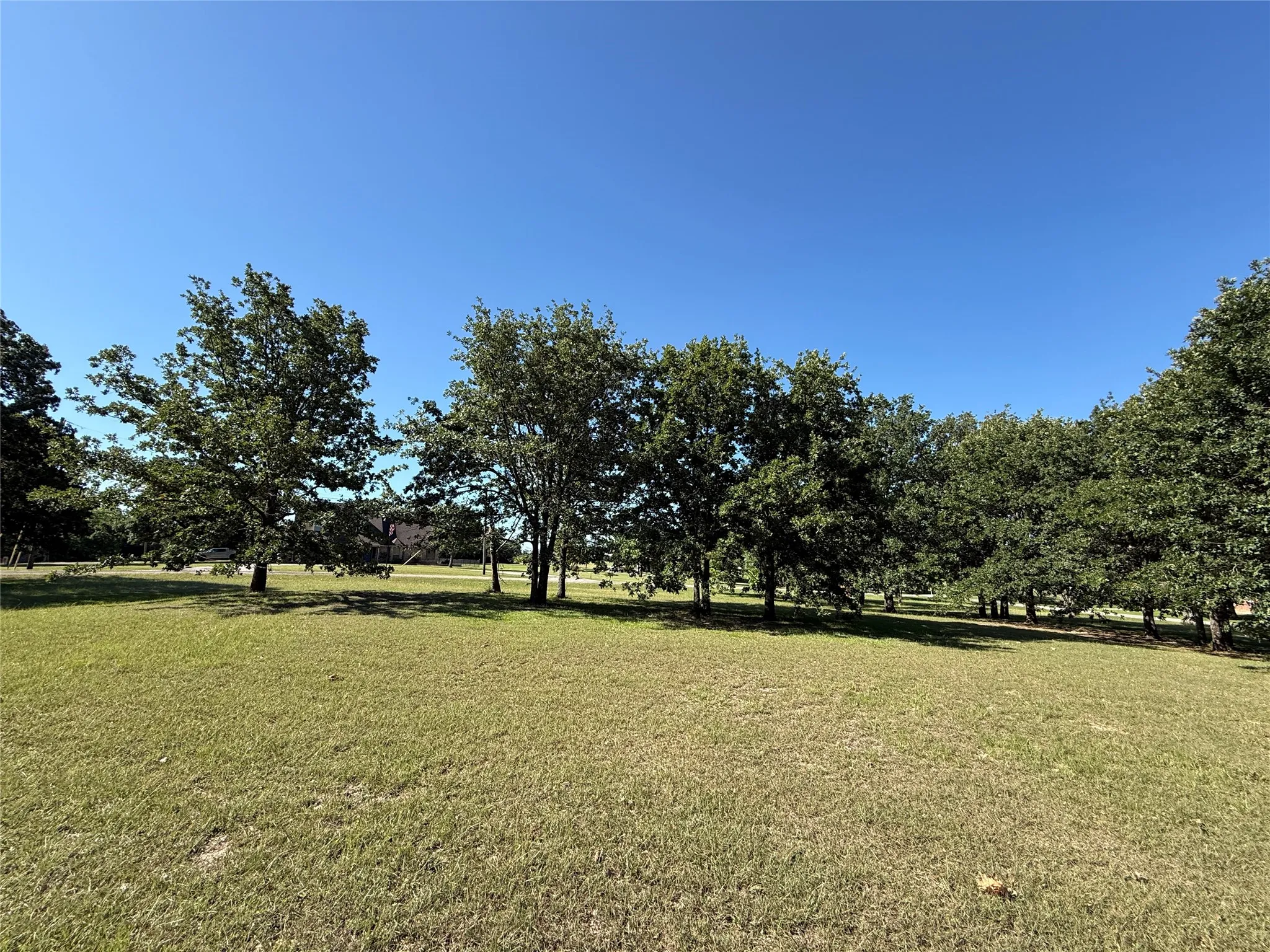 Unimproved Land For Sale in Navarro County , Lot 1 SE County Road 3186, Corsicana, Texas 75109, 0, 0, Garage spaces, 0 Sqft, built in 0, Price $49,900, mls#21267509, Real Estate Agent in Corsicana, Homes For Sale in Navarro county, Homes For Sale in Corsicana, Realtor in Corsicana Texas, Real Estate Brokerage Independent Realty Texas, Luminita Cordes Realtor