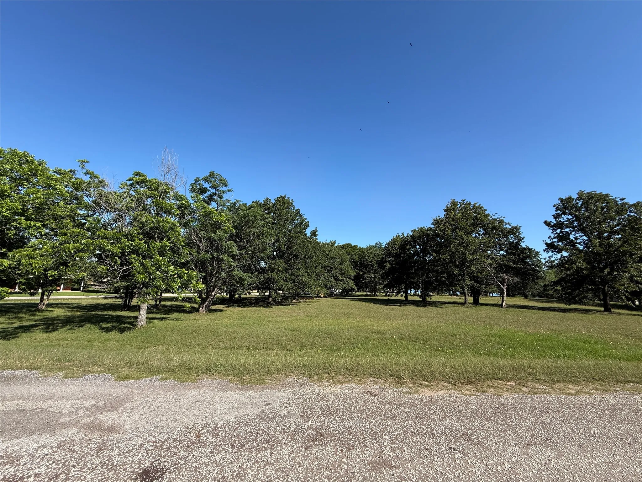 Unimproved Land For Sale in Navarro County , Lot 1 SE County Road 3186, Corsicana, Texas 75109, 0, 0, Garage spaces, 0 Sqft, built in 0, Price $49,900, mls#21267509, Real Estate Agent in Corsicana, Homes For Sale in Navarro county, Homes For Sale in Corsicana, Realtor in Corsicana Texas, Real Estate Brokerage Independent Realty Texas, Luminita Cordes Realtor