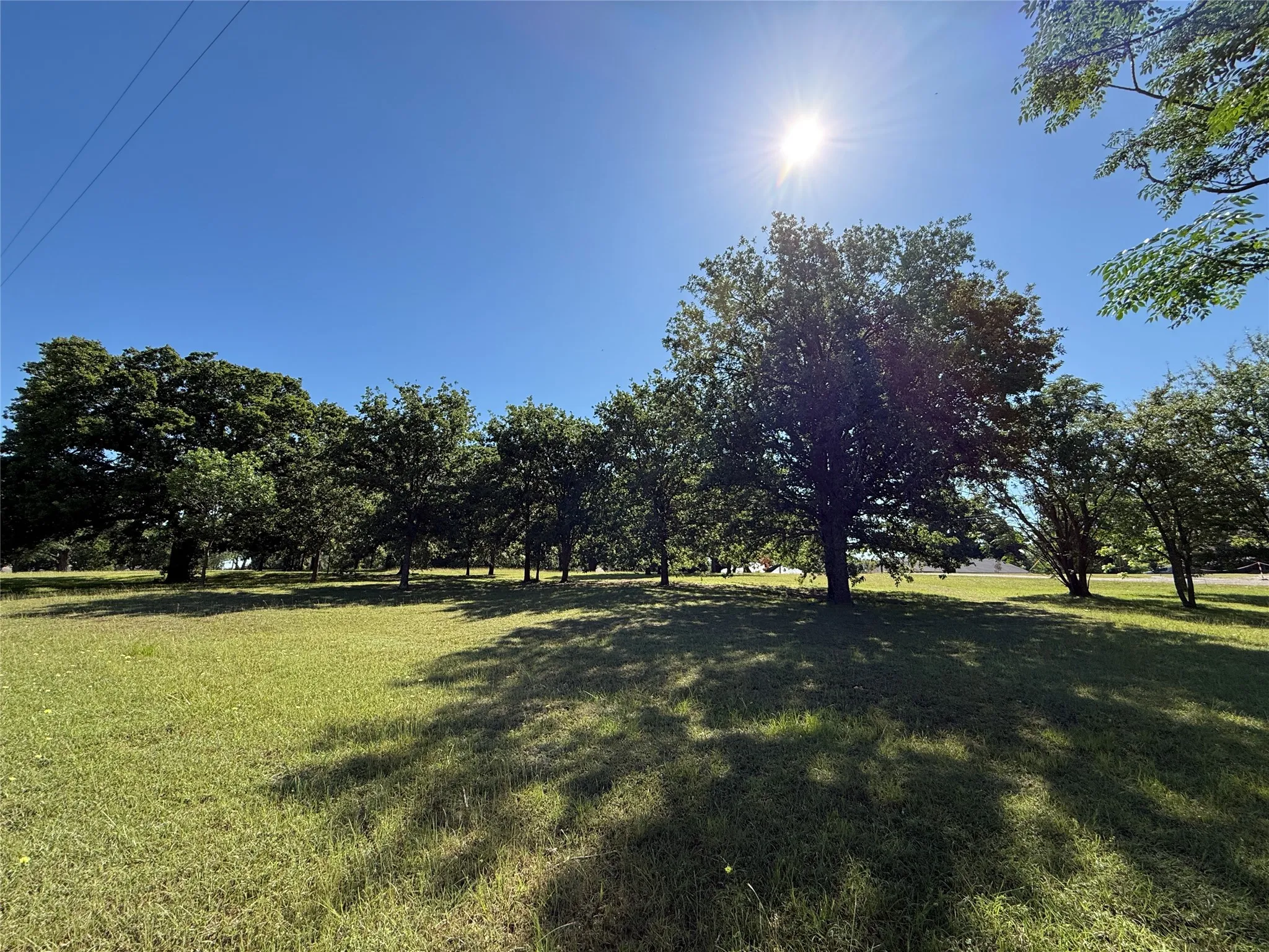 Unimproved Land For Sale in Navarro County , Lot 1 SE County Road 3186, Corsicana, Texas 75109, 0, 0, Garage spaces, 0 Sqft, built in 0, Price $49,900, mls#21267509, Real Estate Agent in Corsicana, Homes For Sale in Navarro county, Homes For Sale in Corsicana, Realtor in Corsicana Texas, Real Estate Brokerage Independent Realty Texas, Luminita Cordes Realtor