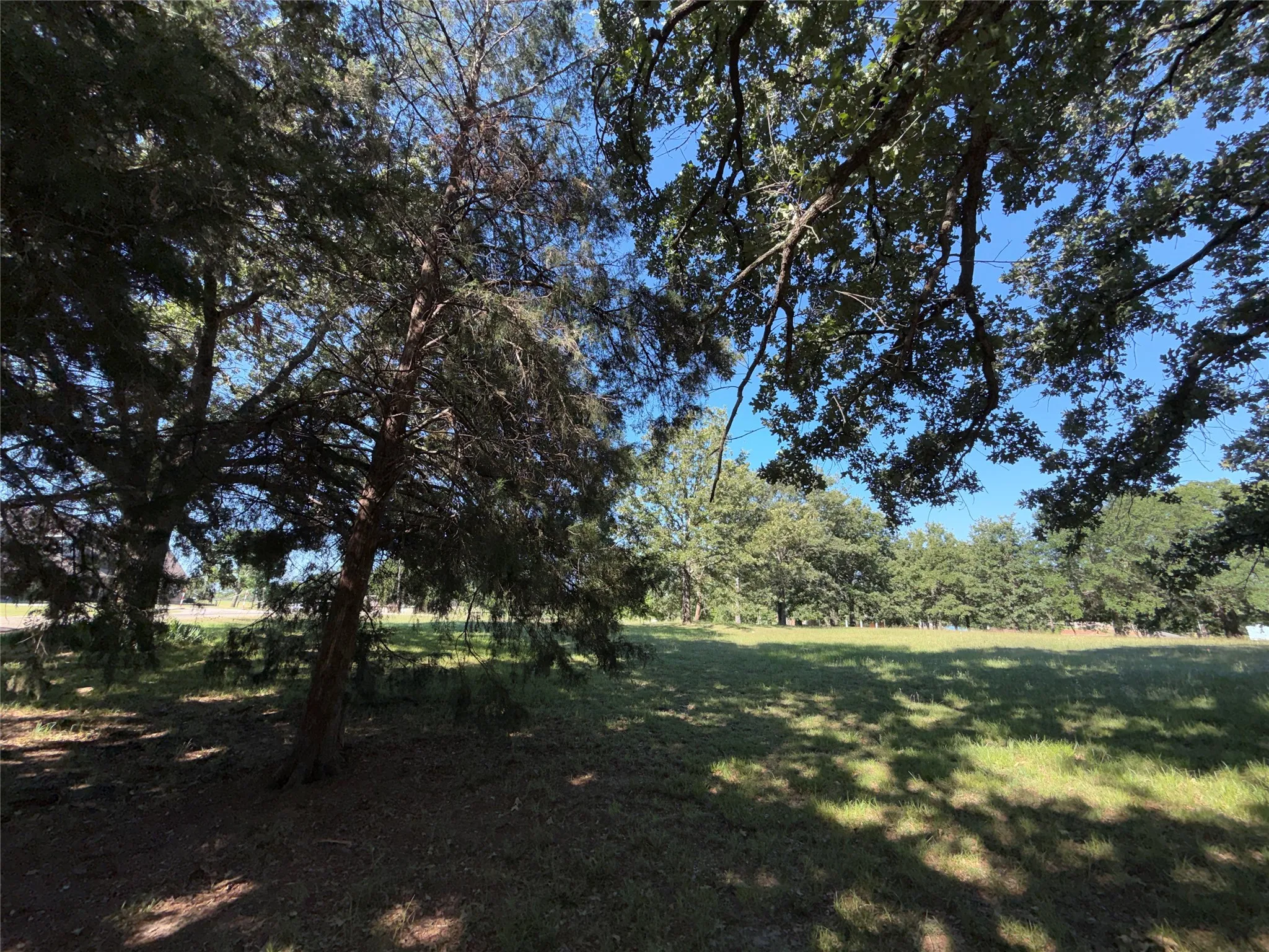 Unimproved Land For Sale in Navarro County , Lot 1 SE County Road 3186, Corsicana, Texas 75109, 0, 0, Garage spaces, 0 Sqft, built in 0, Price $49,900, mls#21267509, Real Estate Agent in Corsicana, Homes For Sale in Navarro county, Homes For Sale in Corsicana, Realtor in Corsicana Texas, Real Estate Brokerage Independent Realty Texas, Luminita Cordes Realtor